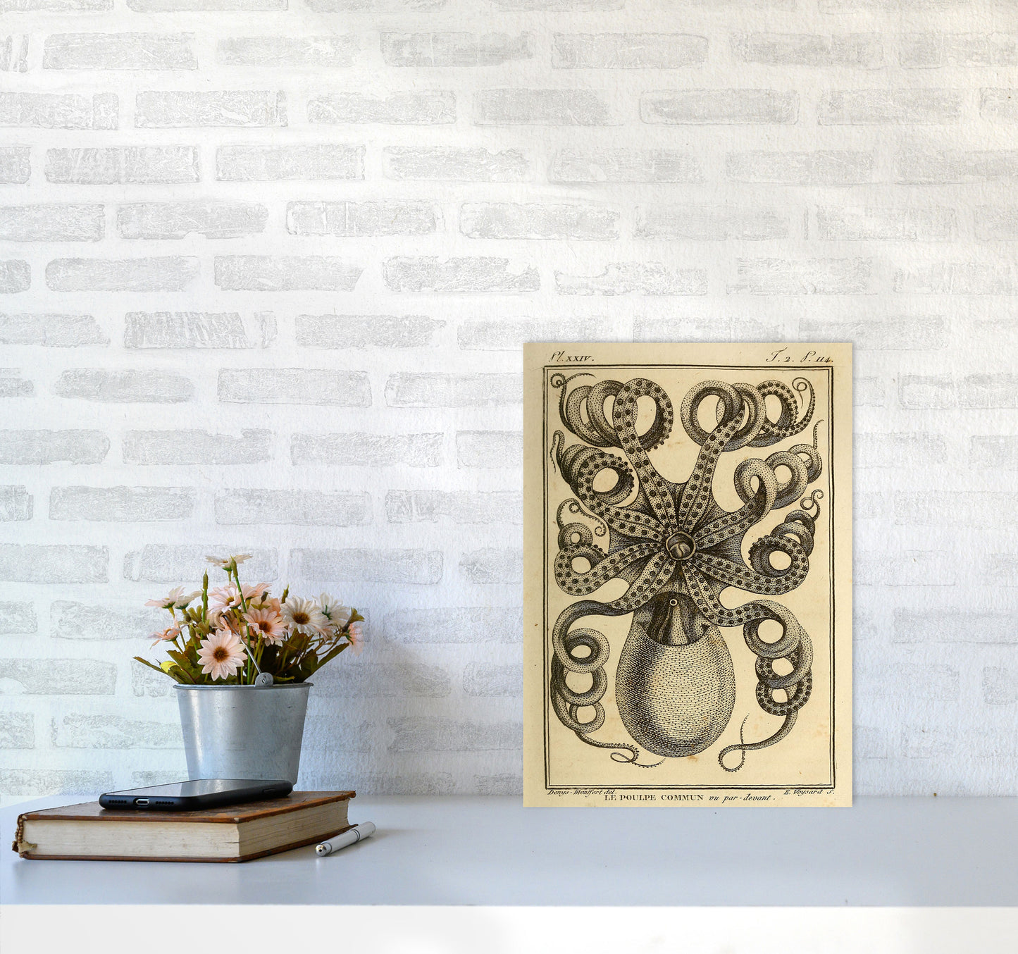 Vintage Octopus Art Print by Jason Stanley A3 Black Frame