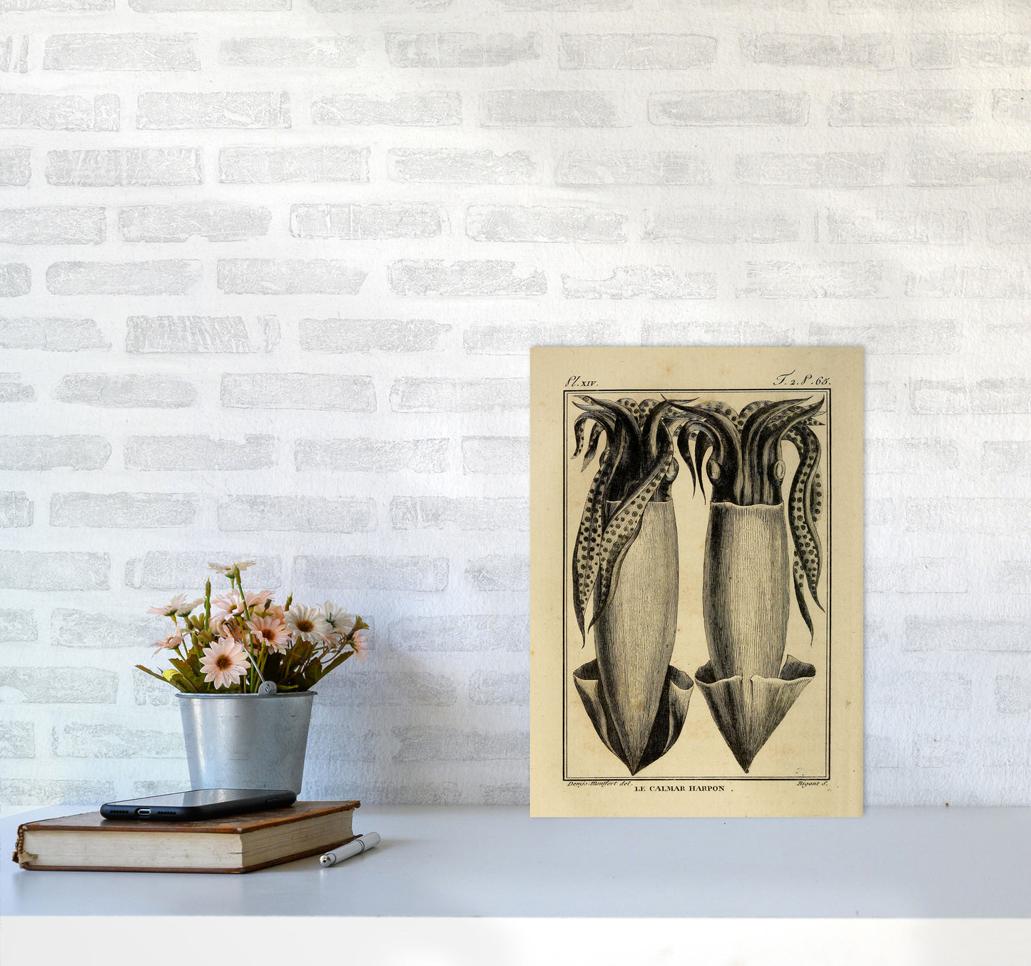 Vintage Squid 5 Art Print by Jason Stanley A3 Black Frame
