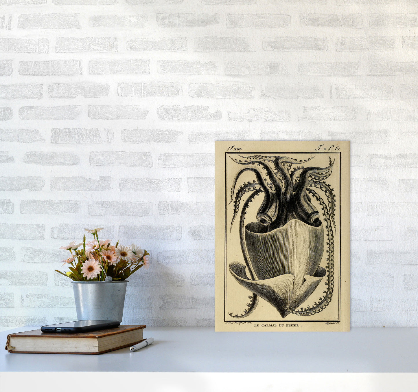 Vintage Squid Art Print by Jason Stanley A3 Black Frame