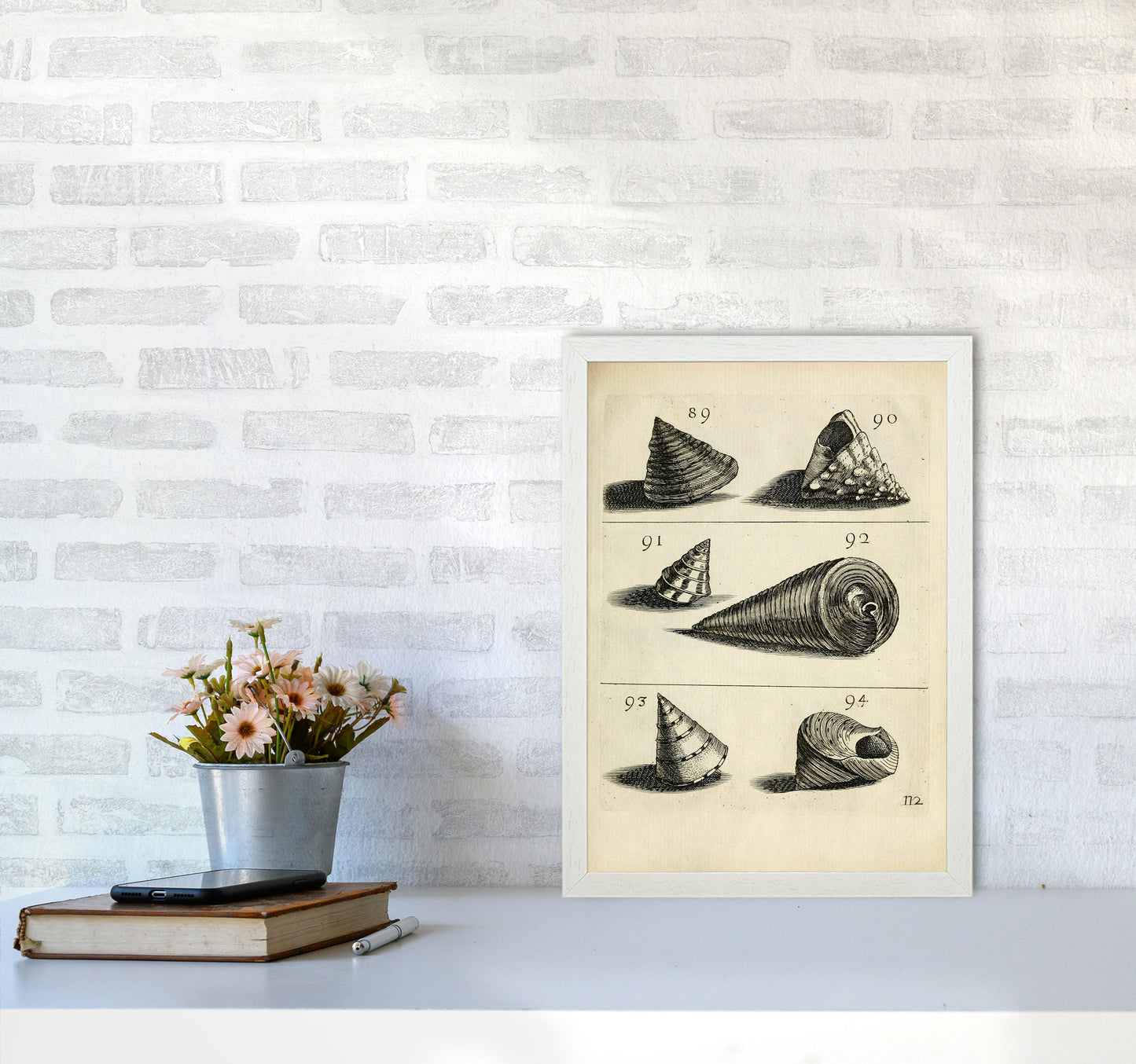 Set Of Vintage Shells Art Print by Jason Stanley A3 Oak Frame