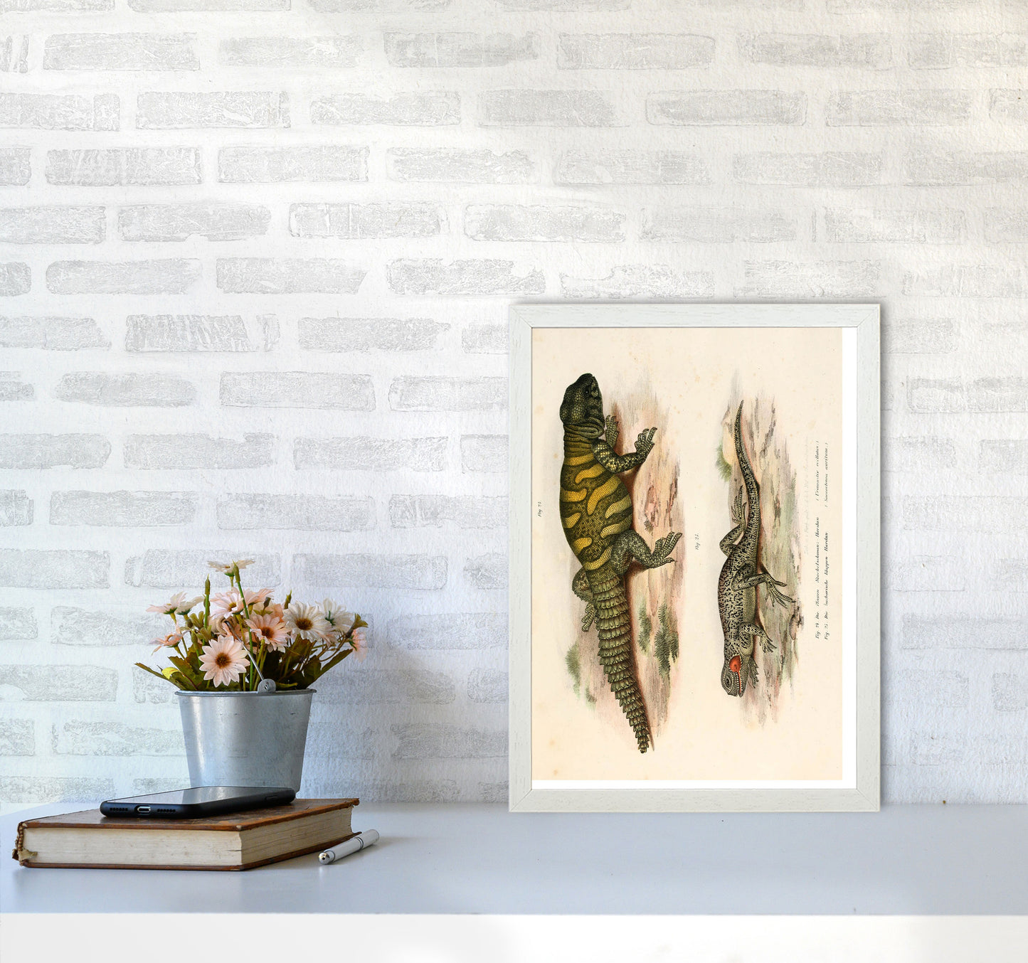 Vintage Lizard Illustration Art Print by Jason Stanley A3 Oak Frame