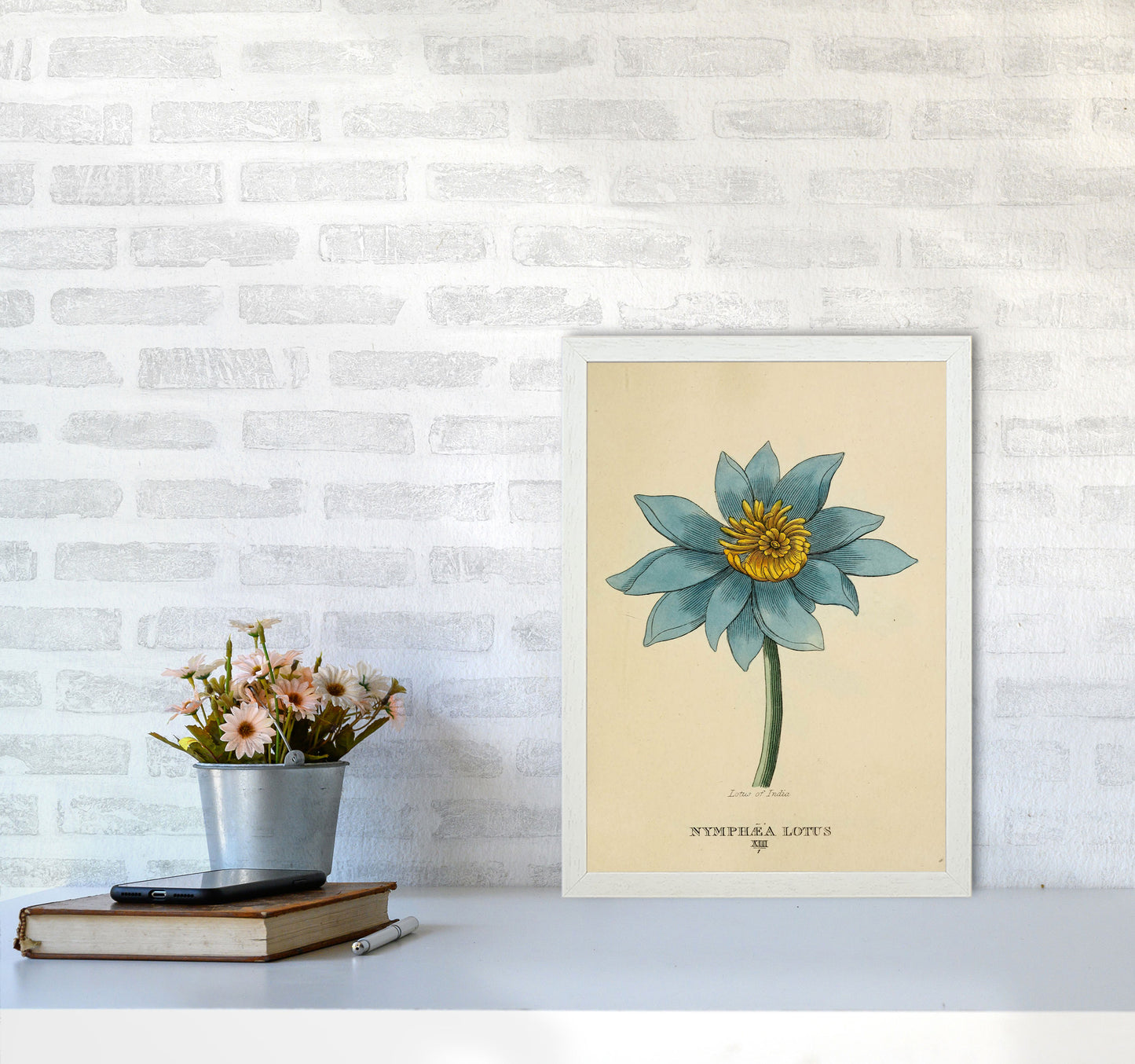 Vintage Lotus Flower Art Print by Jason Stanley A3 Oak Frame