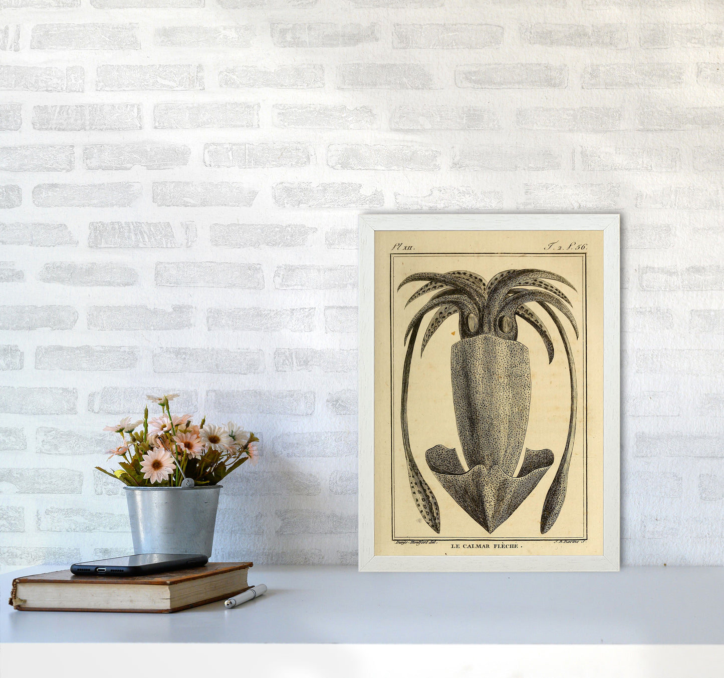 Vintage Squid 2 Art Print by Jason Stanley A3 Oak Frame