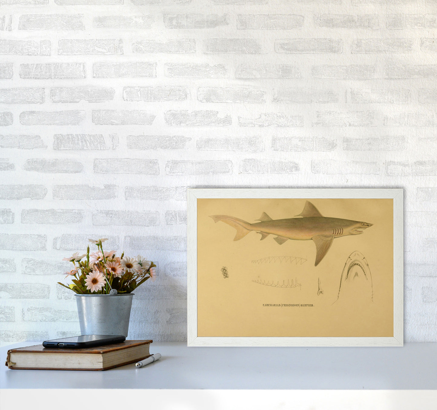 Shark Series 3 Art Print by Jason Stanley A3 Oak Frame