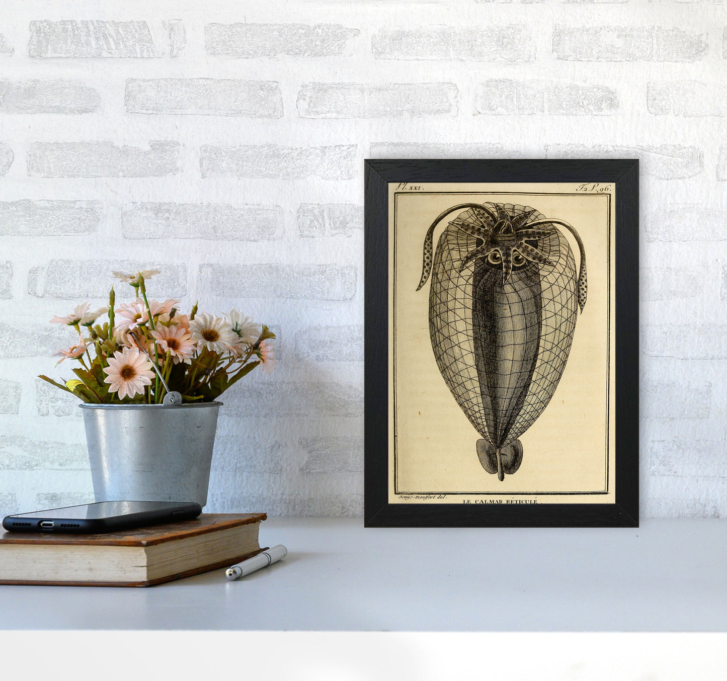Vintage Squid 4 Art Print by Jason Stanley A4 White Frame