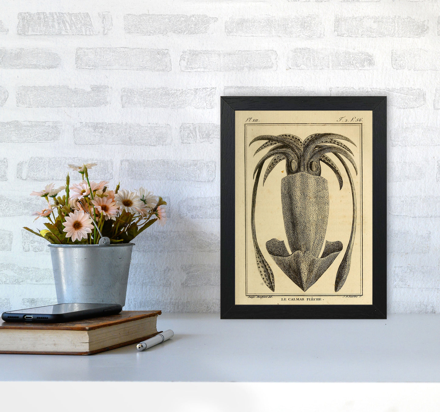 Vintage Squid 2 Art Print by Jason Stanley A4 White Frame