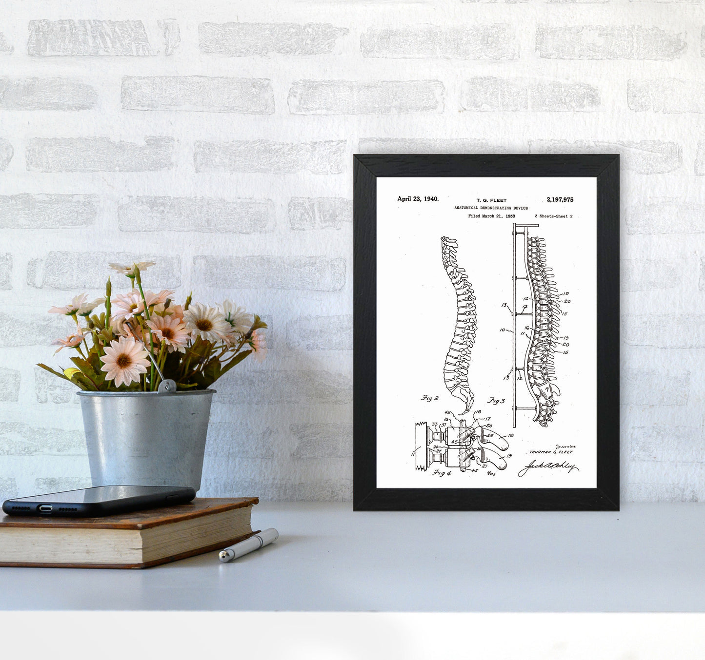 Anatomical Spine Display Patent Art Print by Jason Stanley A4 White Frame