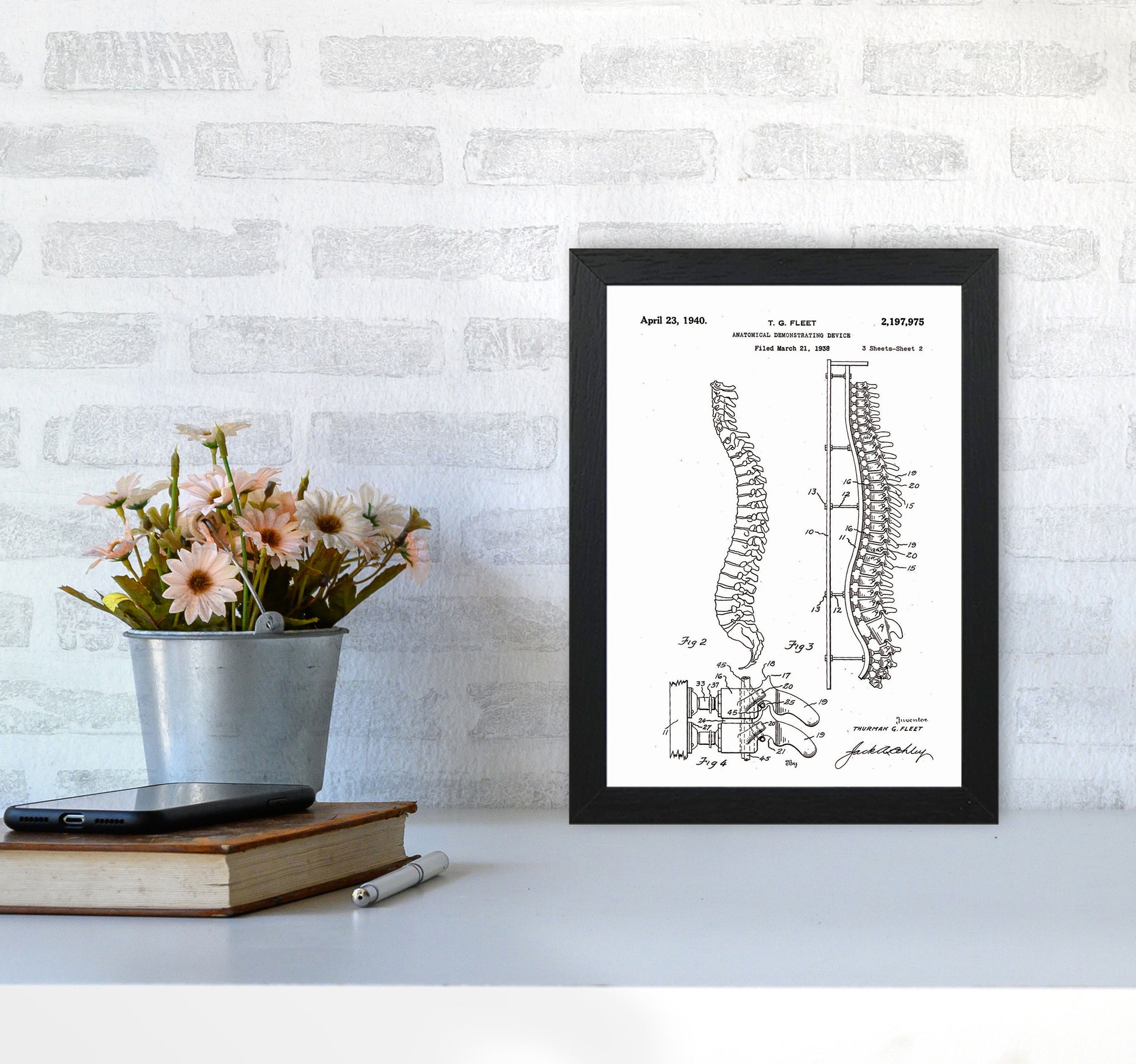 Anatomical Spine Display Patent Art Print by Jason Stanley A4 White Frame