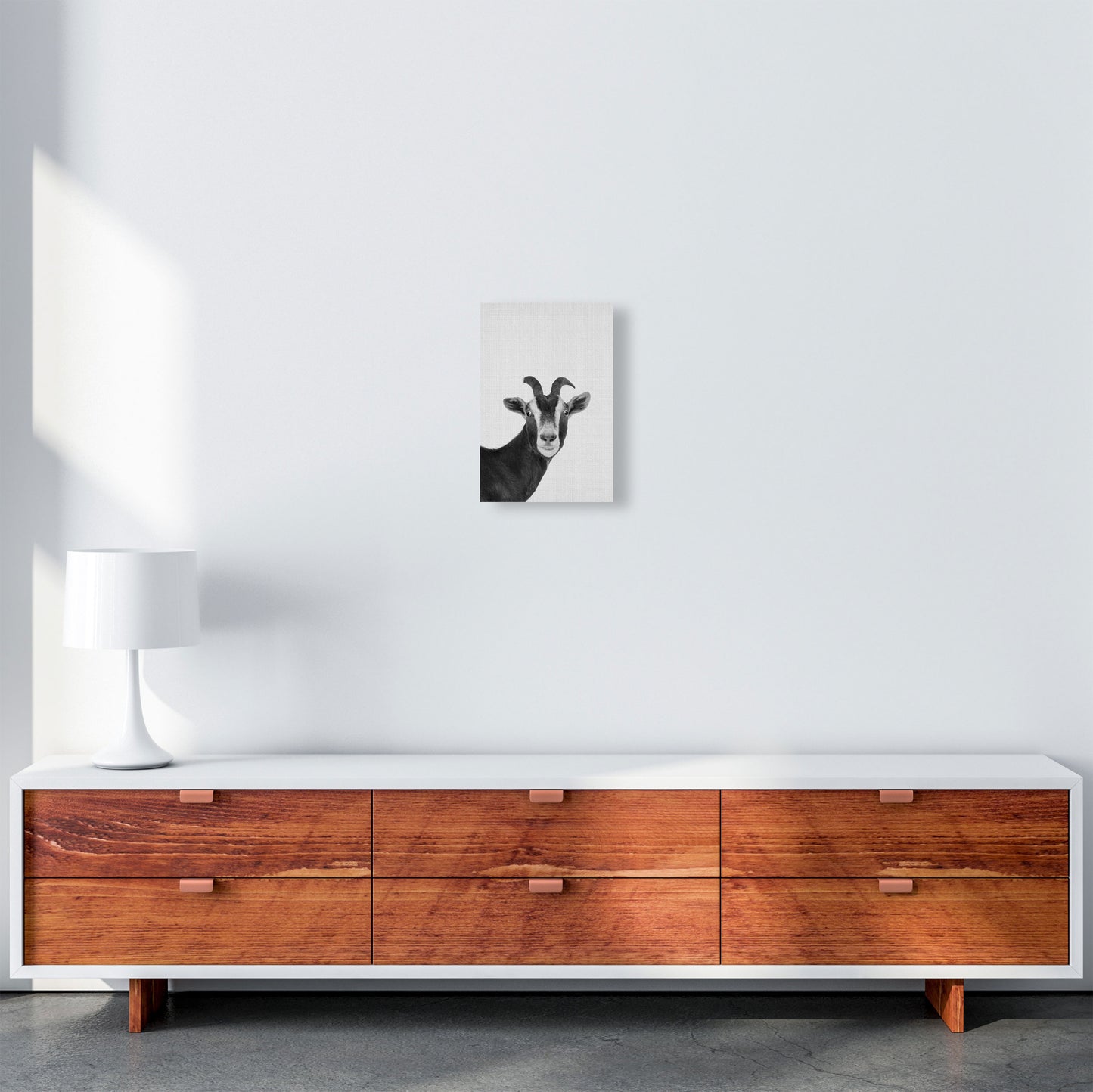 Surprised Goat Art Print by Jason Stanley A4 Canvas