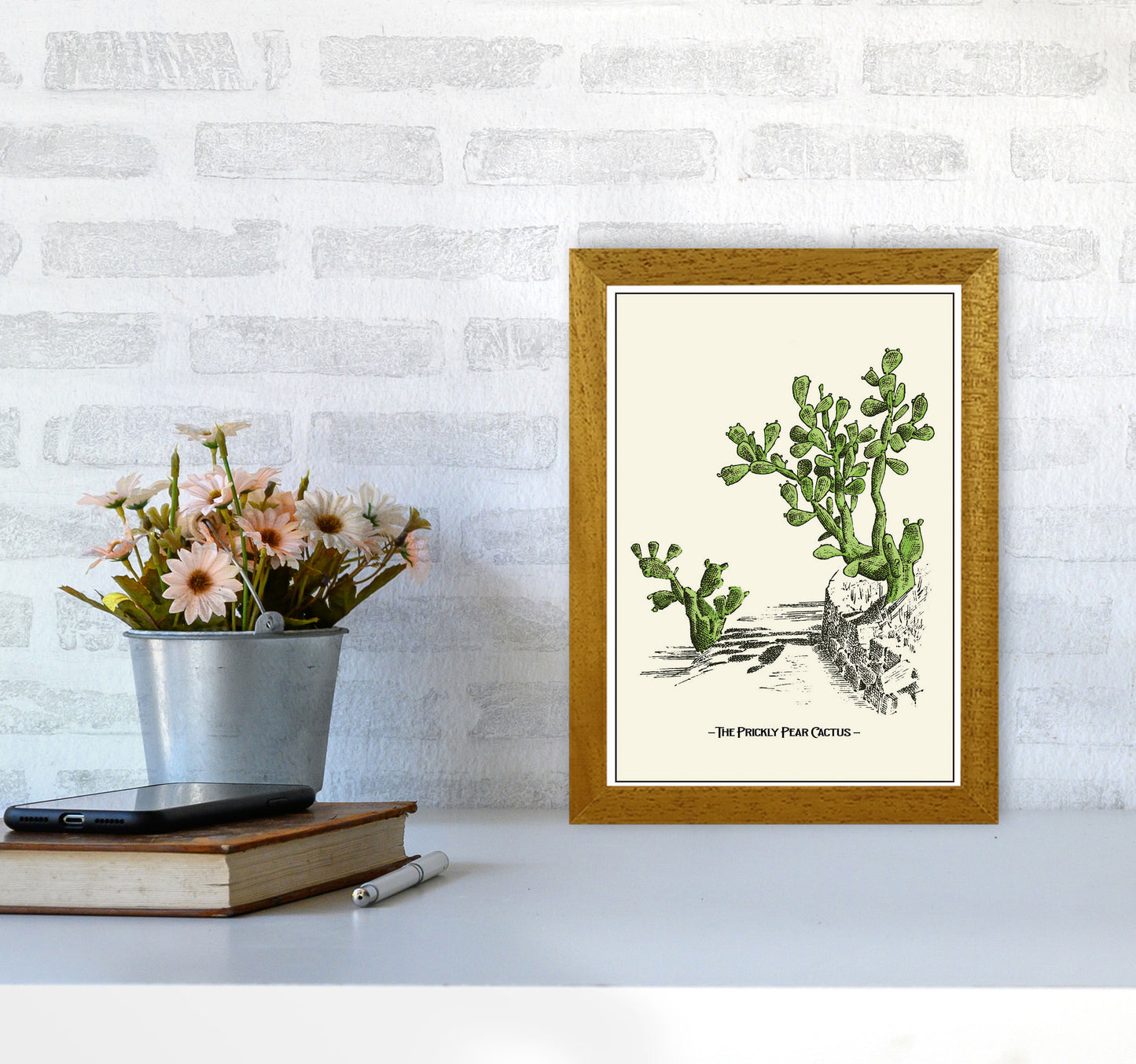 The Prickly Pear Cactus Art Print by Jason Stanley A4 Print Only