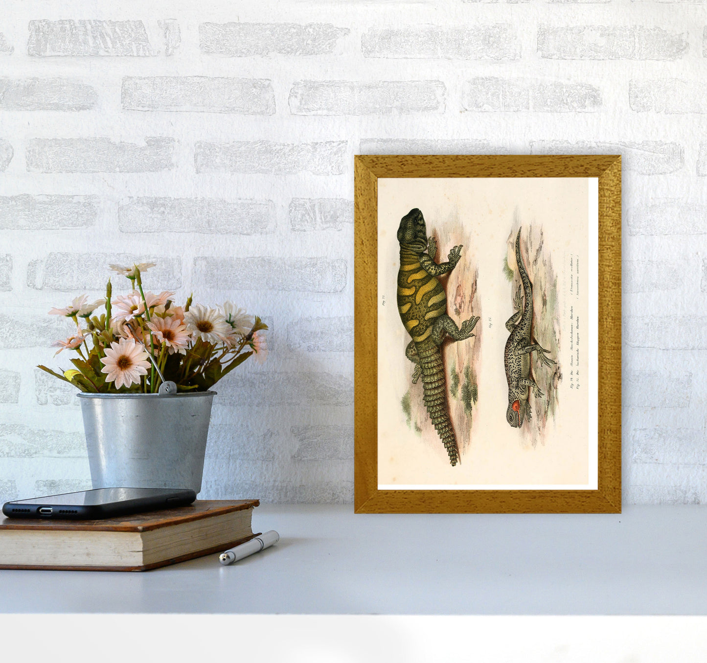 Vintage Lizard Illustration Art Print by Jason Stanley A4 Print Only