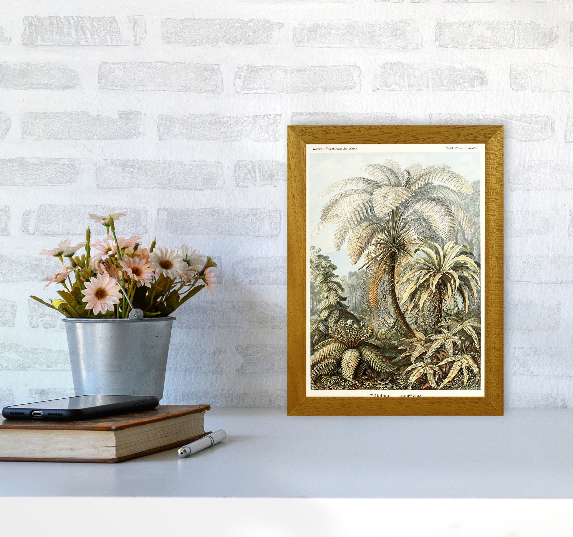 Vintage Jungle Illustration Art Print by Jason Stanley A4 Print Only