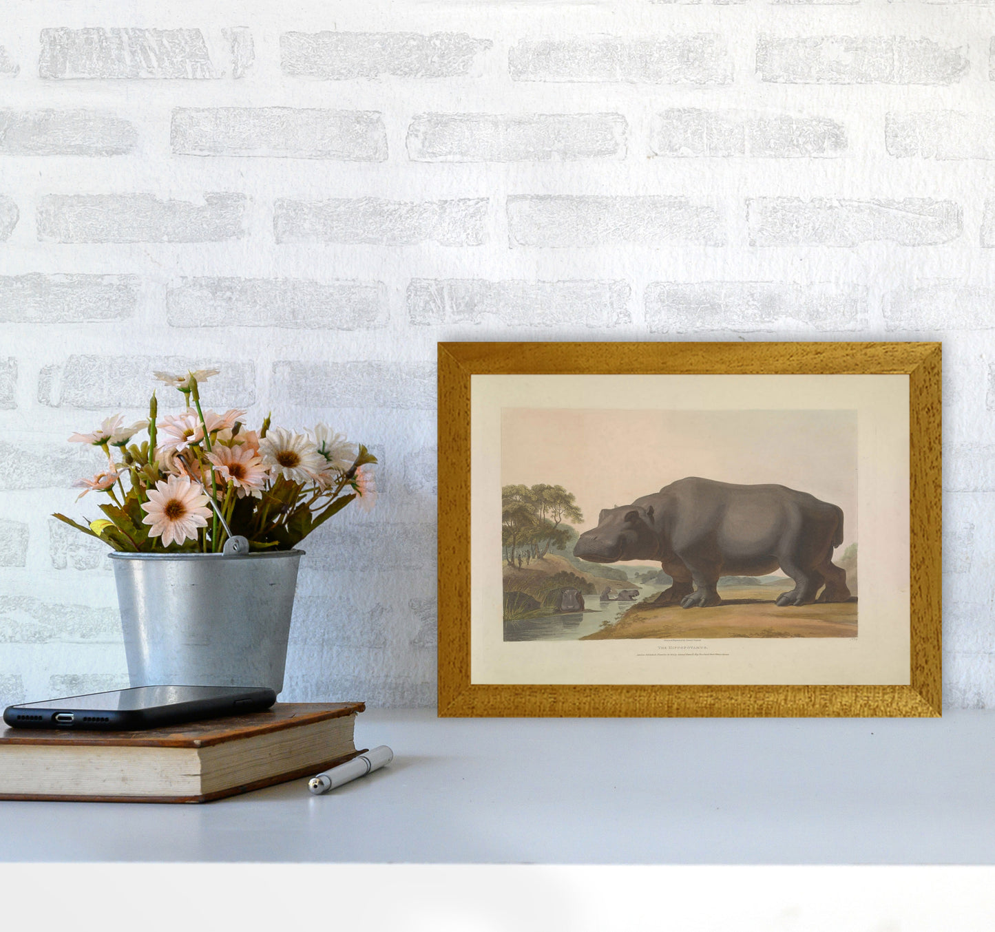 Vintage Hippo Illustration Art Print by Jason Stanley A4 Print Only