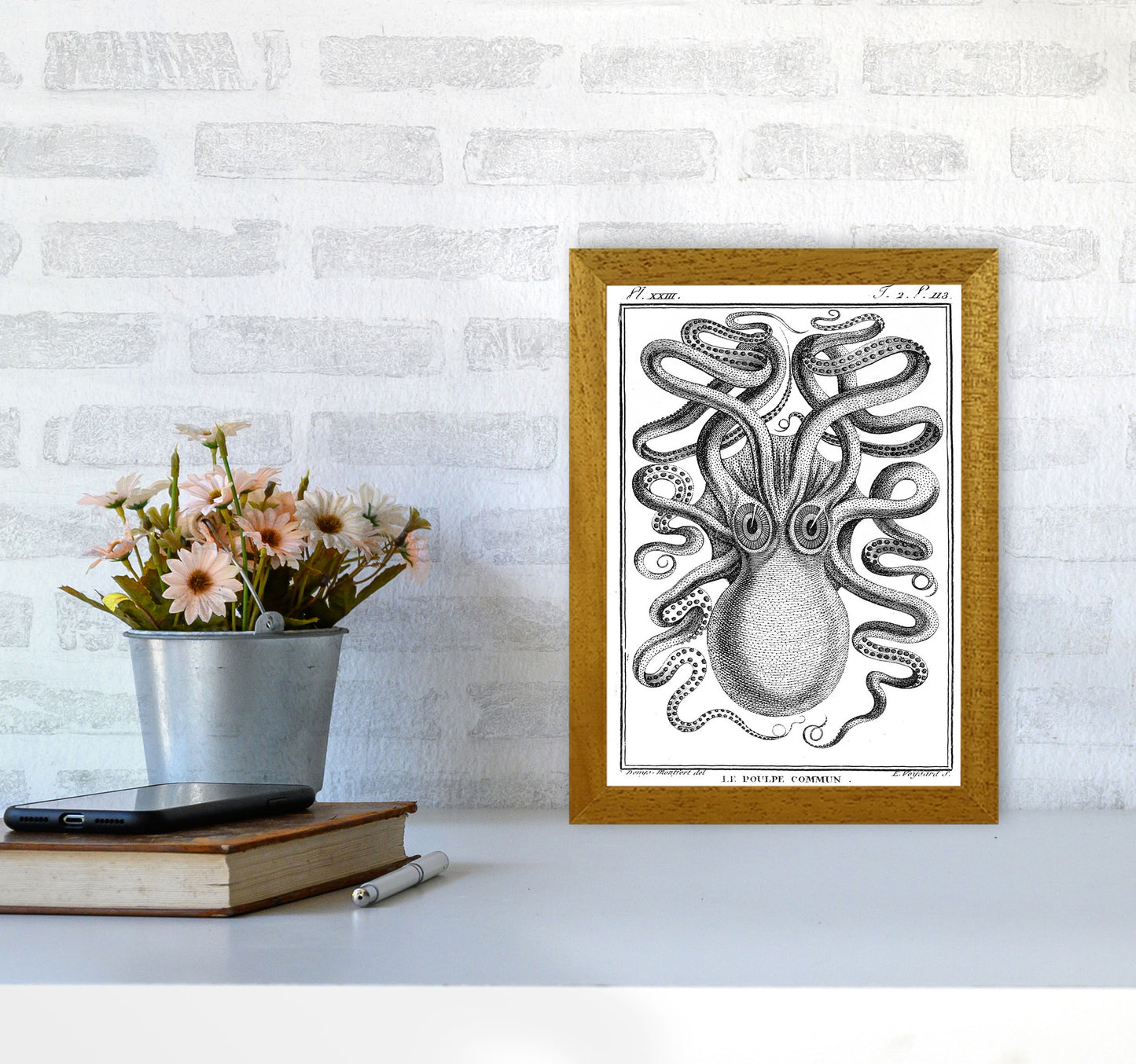 White Vintage Octopus Art Print by Jason Stanley A4 Print Only