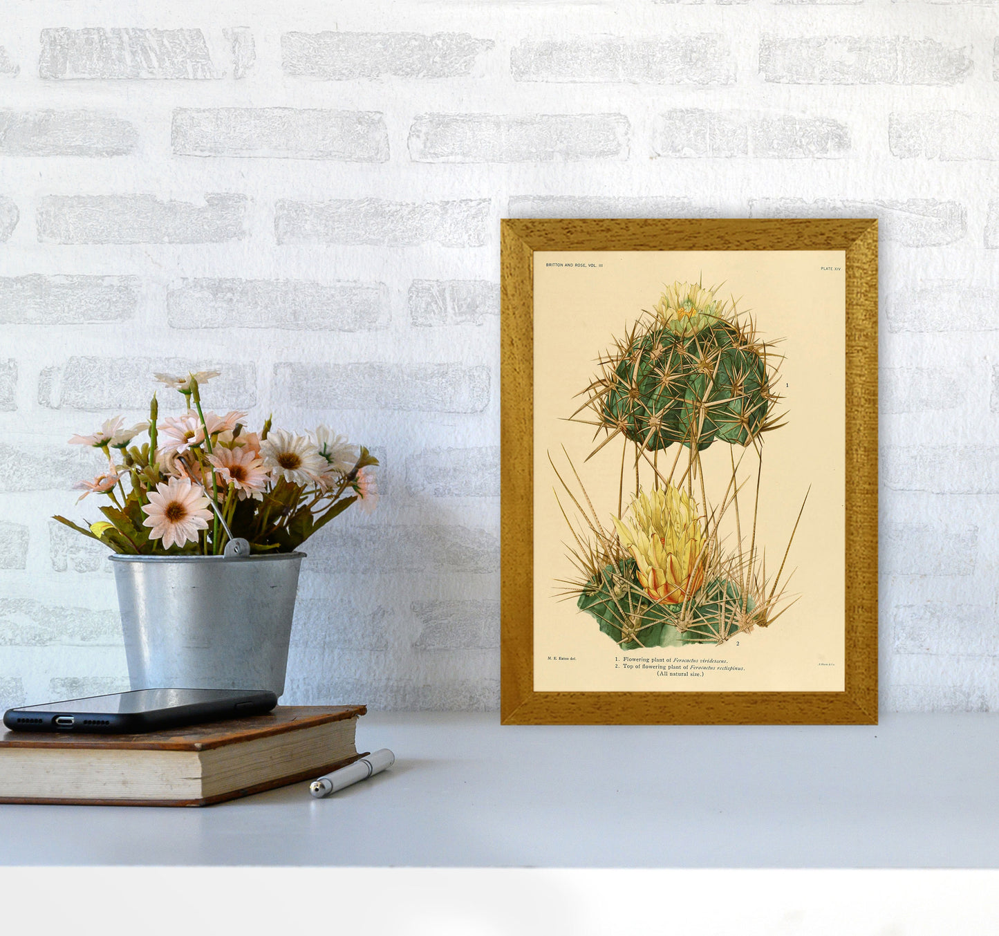 Cactus Series 10 Art Print by Jason Stanley A4 Print Only