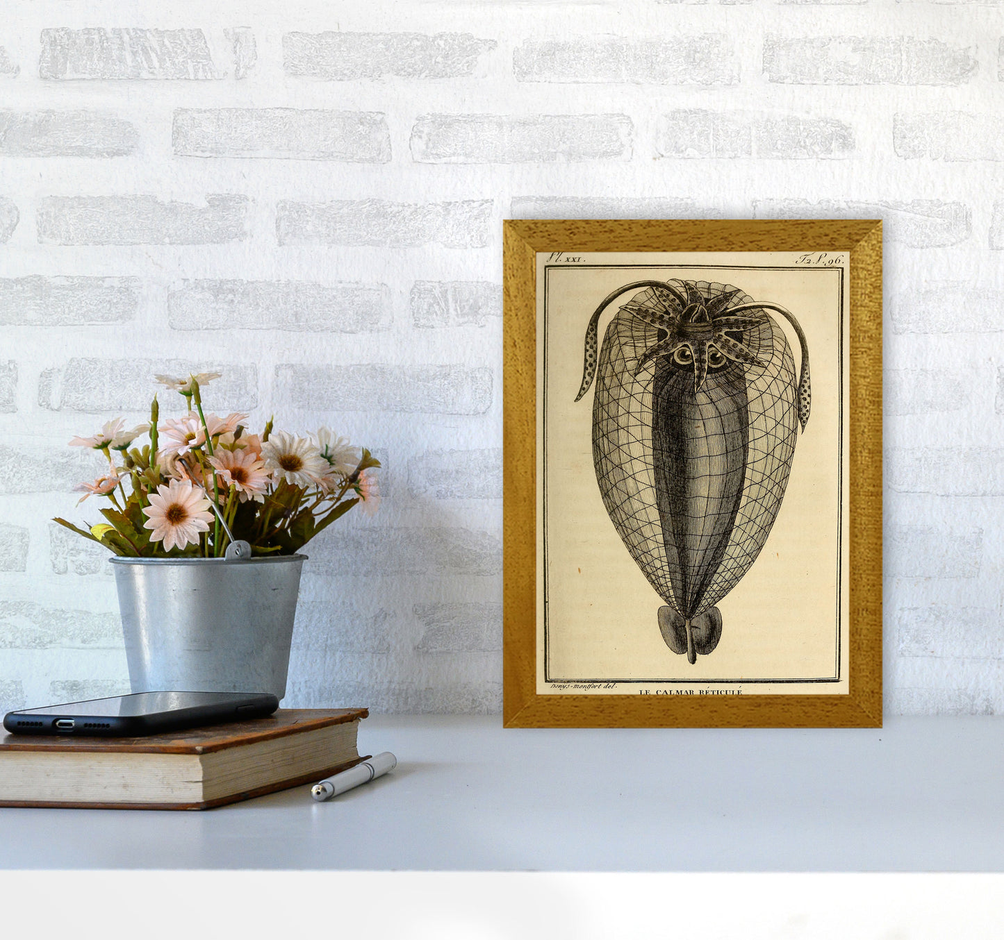 Vintage Squid 4 Art Print by Jason Stanley A4 Print Only