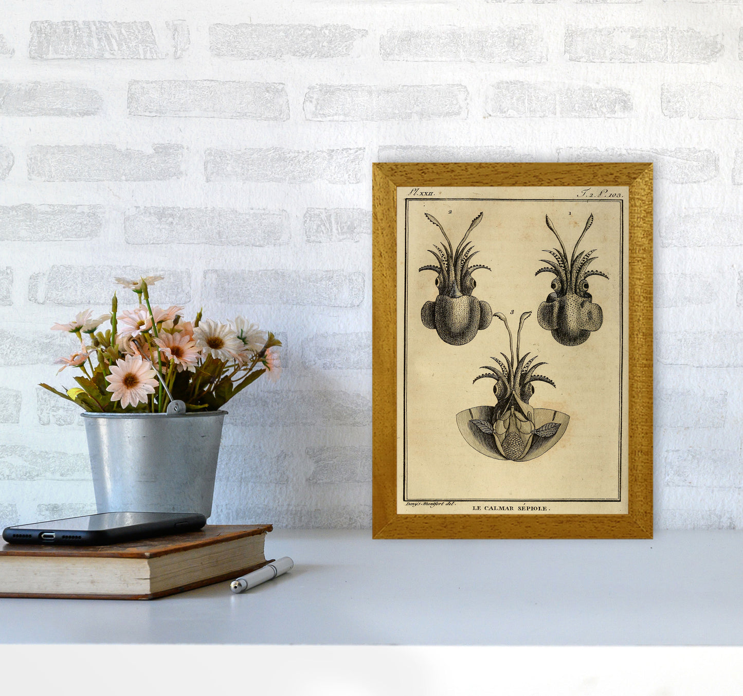 Vintage Squid 3 Art Print by Jason Stanley A4 Print Only