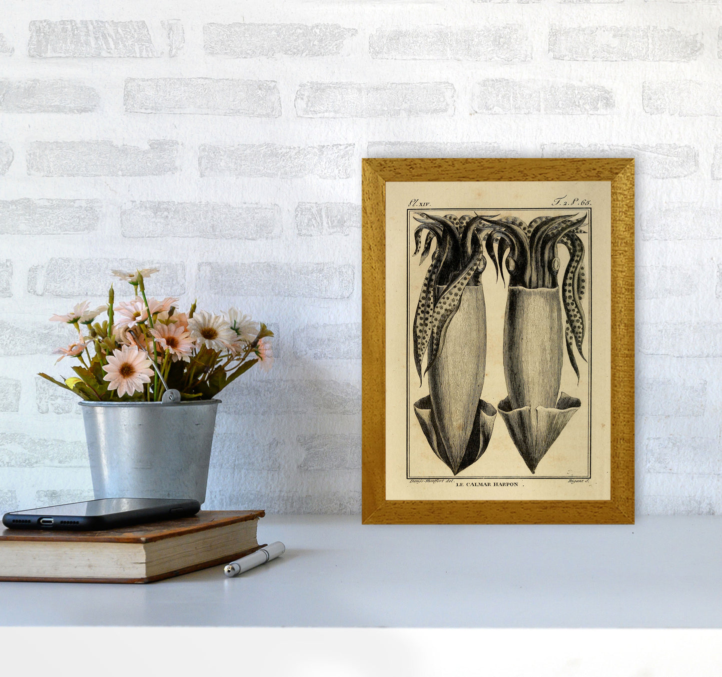 Vintage Squid 5 Art Print by Jason Stanley A4 Print Only