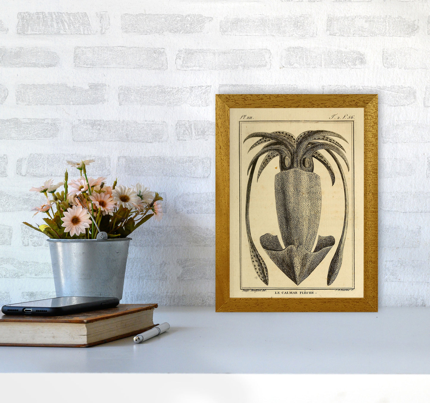 Vintage Squid 2 Art Print by Jason Stanley A4 Print Only