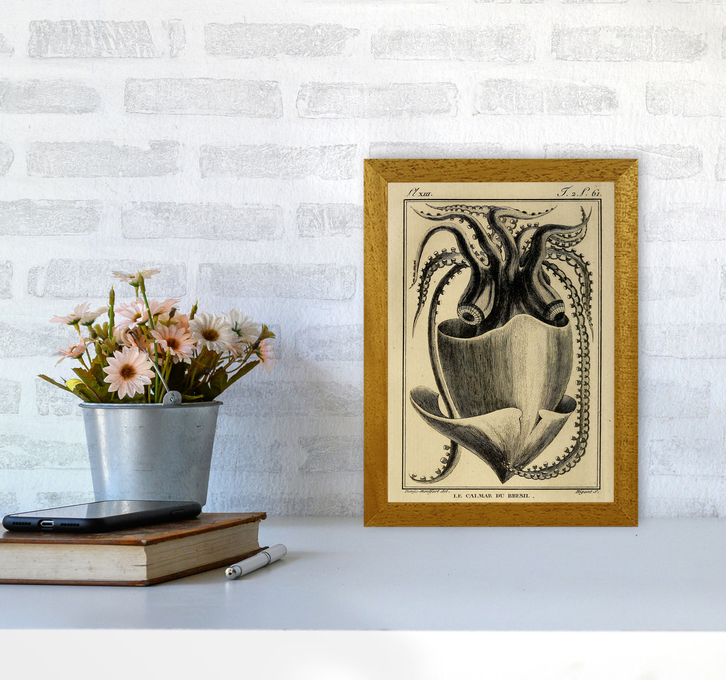 Vintage Squid Art Print by Jason Stanley A4 Print Only