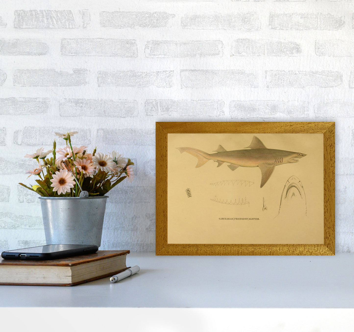 Shark Series 3 Art Print by Jason Stanley A4 Print Only