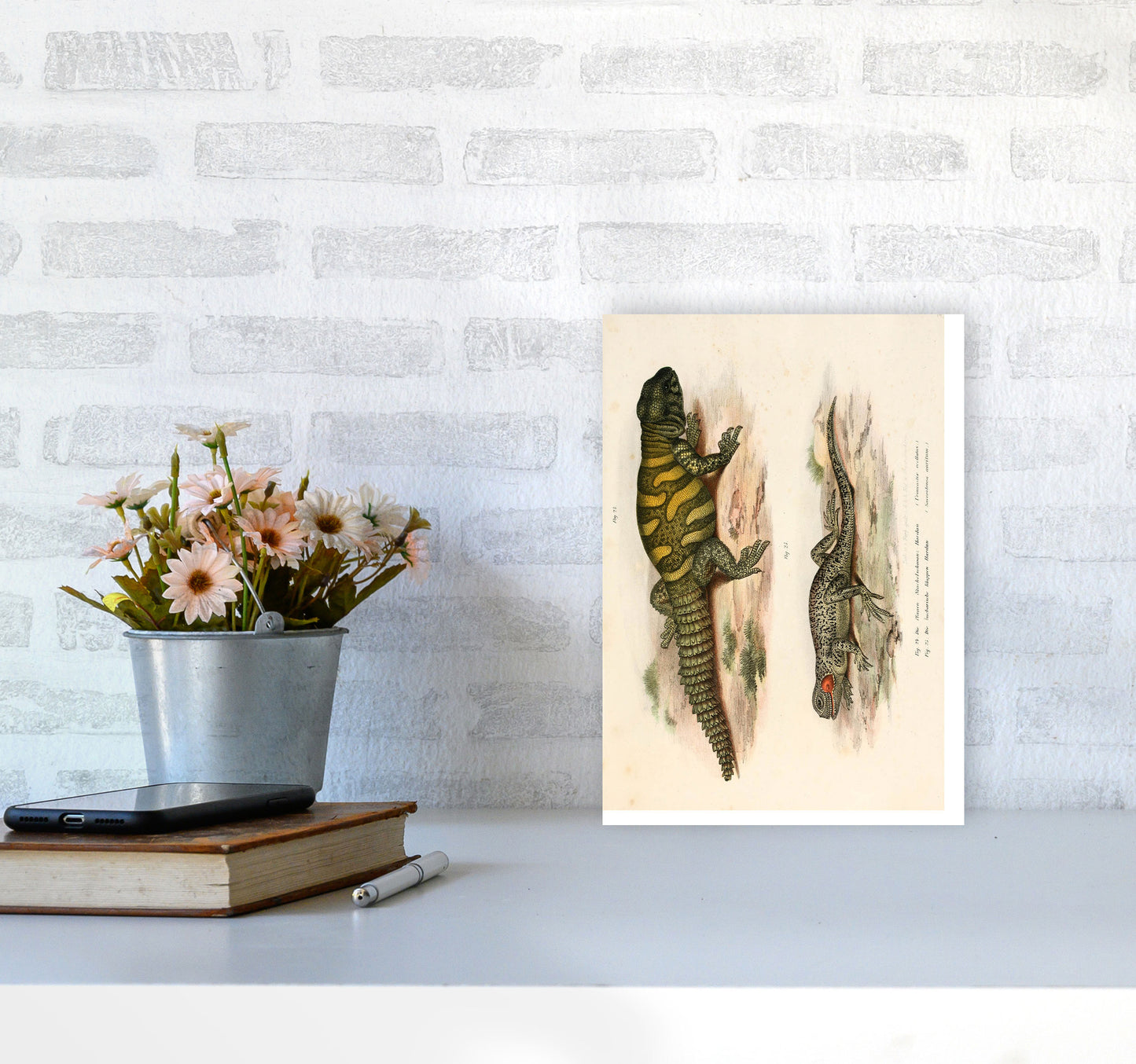 Vintage Lizard Illustration Art Print by Jason Stanley A4 Black Frame