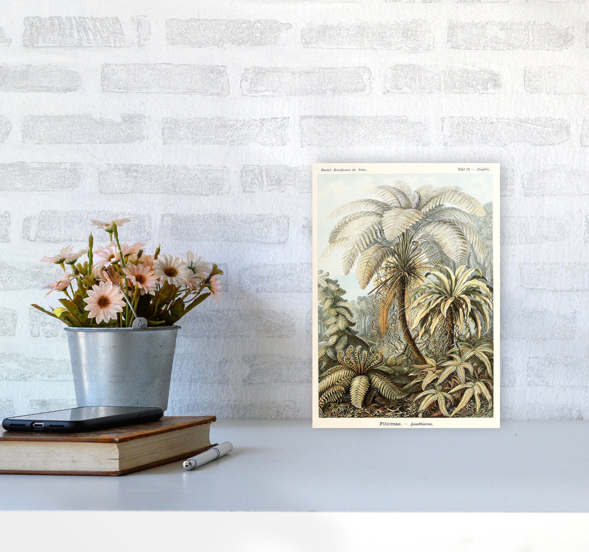 Vintage Jungle Illustration Art Print by Jason Stanley A4 Black Frame
