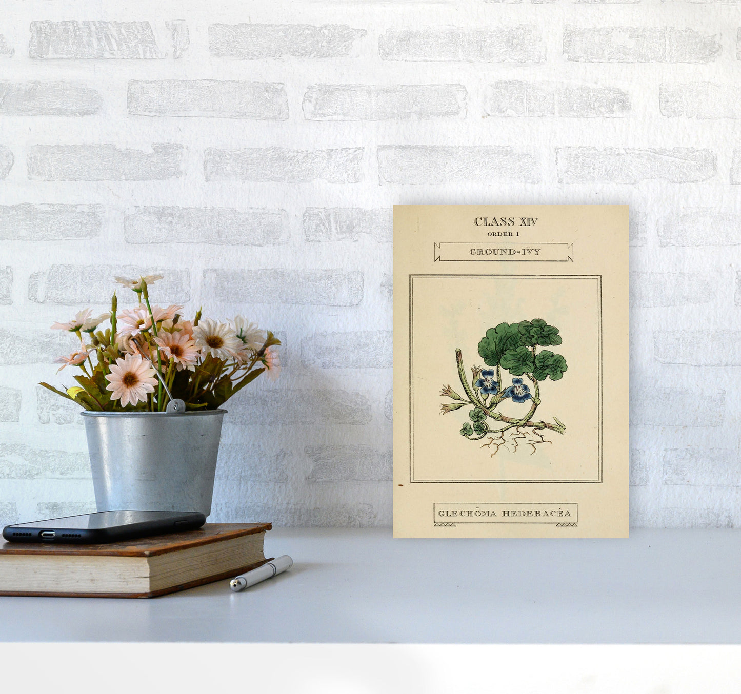 Vintage Flower Series 8 Art Print by Jason Stanley A4 Black Frame