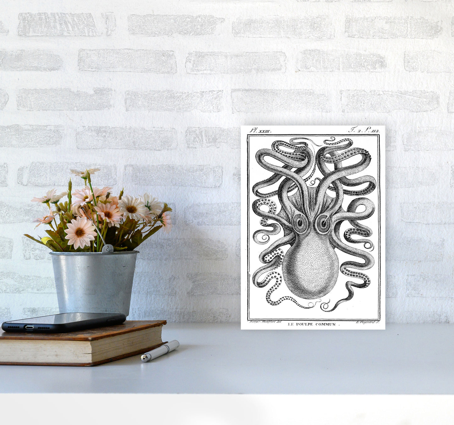 White Vintage Octopus Art Print by Jason Stanley A4 Black Frame