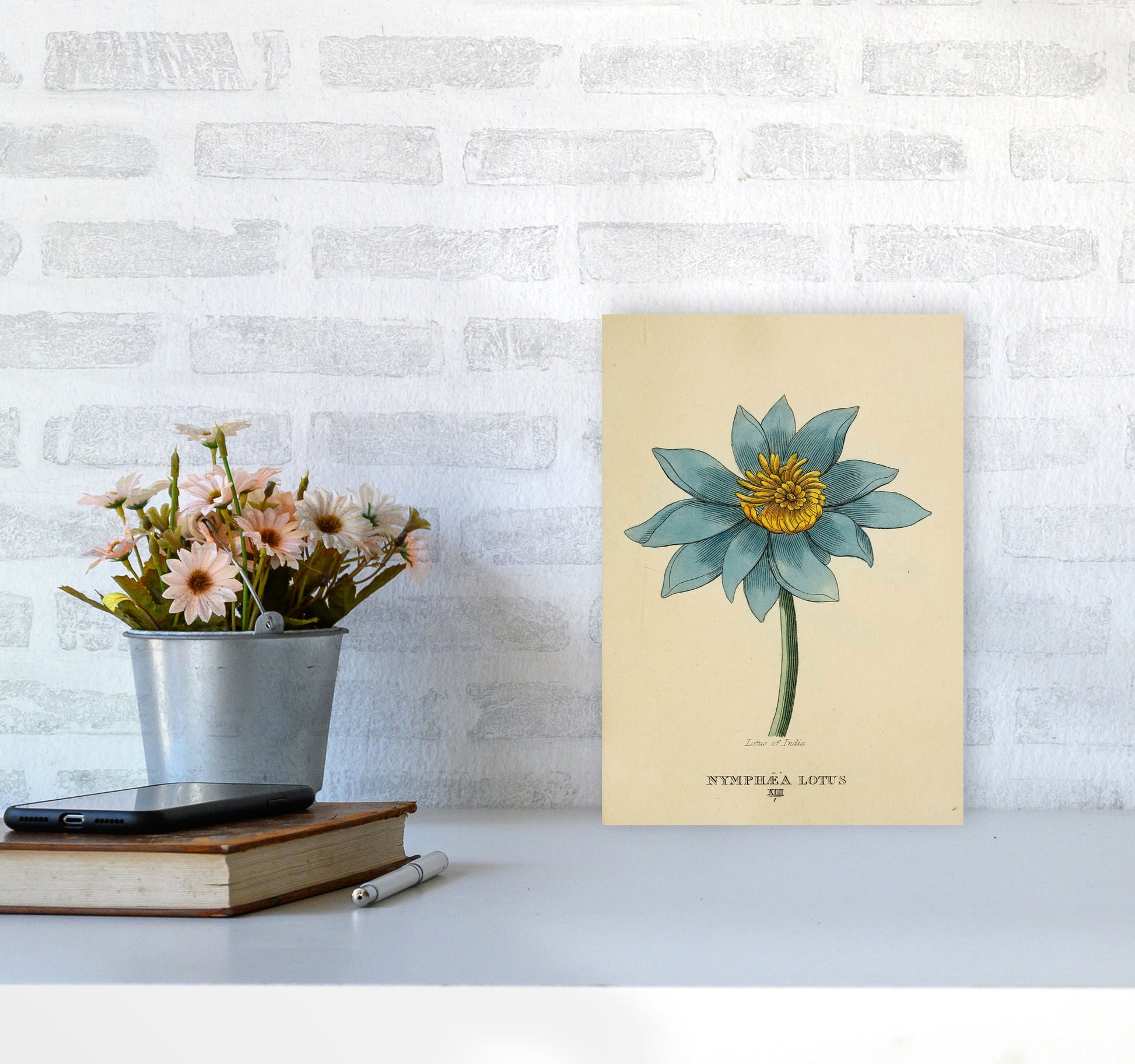 Vintage Lotus Flower Art Print by Jason Stanley A4 Black Frame