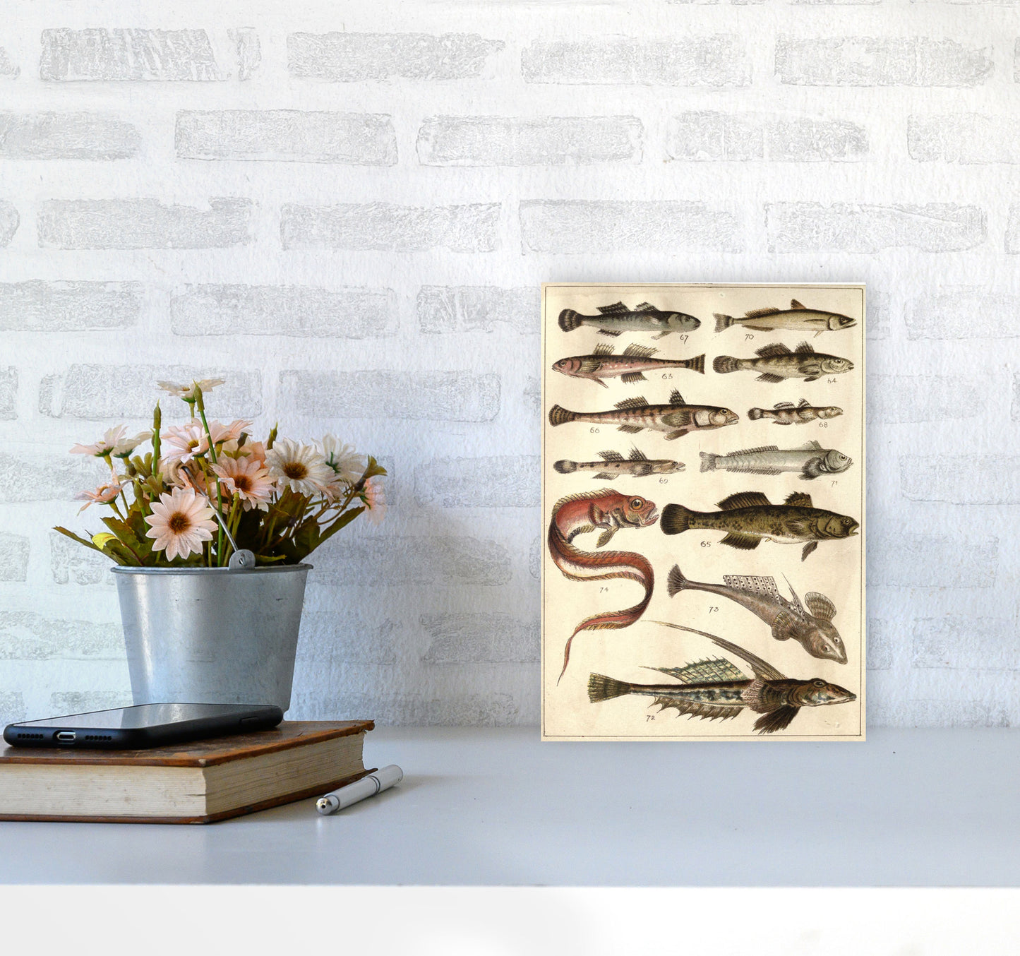 Creatures Of The Sea Art Print by Jason Stanley A4 Black Frame