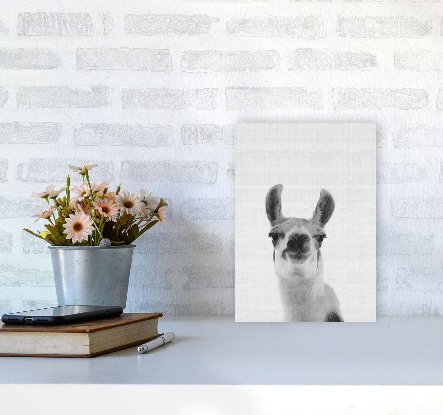 Llama Art Print by Jason Stanley A4 Black Frame