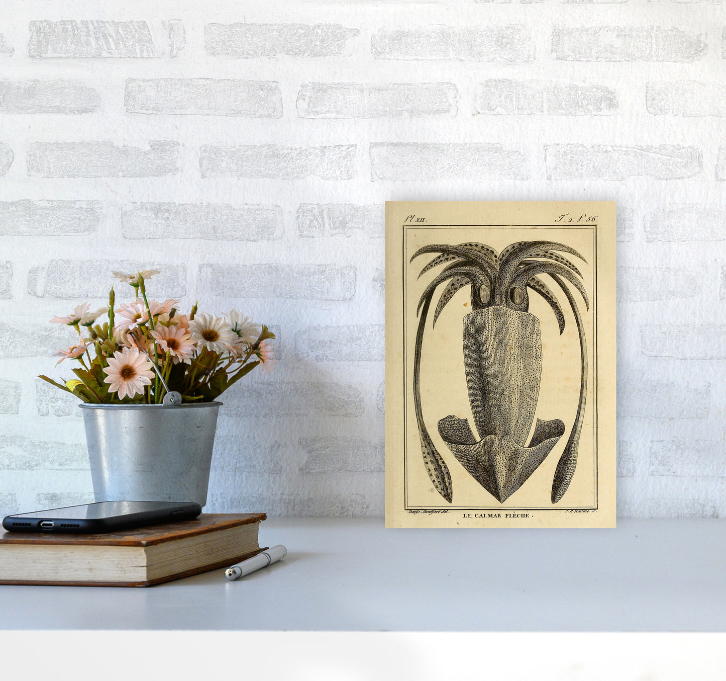 Vintage Squid 2 Art Print by Jason Stanley A4 Black Frame