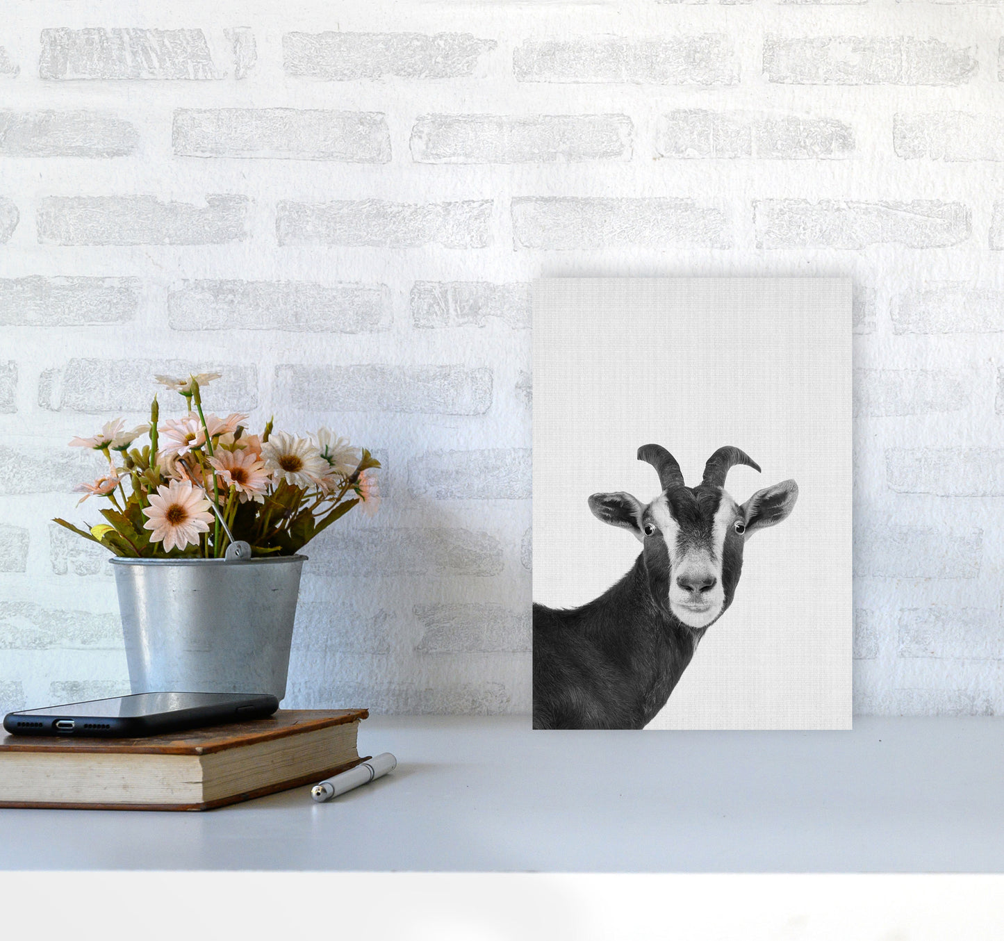 Surprised Goat Art Print by Jason Stanley A4 Black Frame