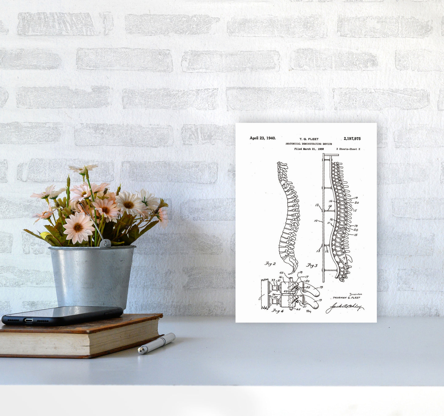 Anatomical Spine Display Patent Art Print by Jason Stanley A4 Black Frame