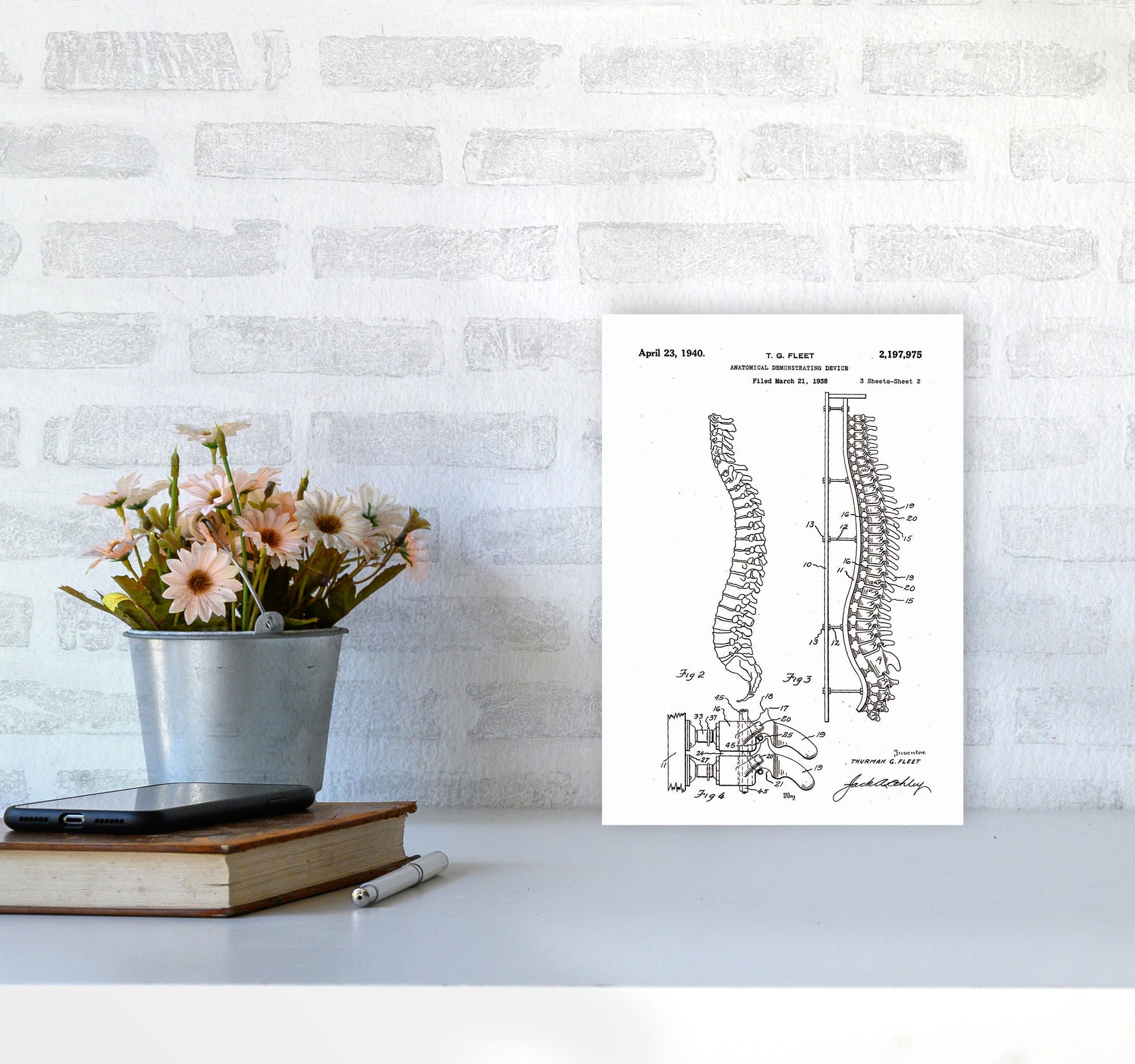Anatomical Spine Display Patent Art Print by Jason Stanley A4 Black Frame
