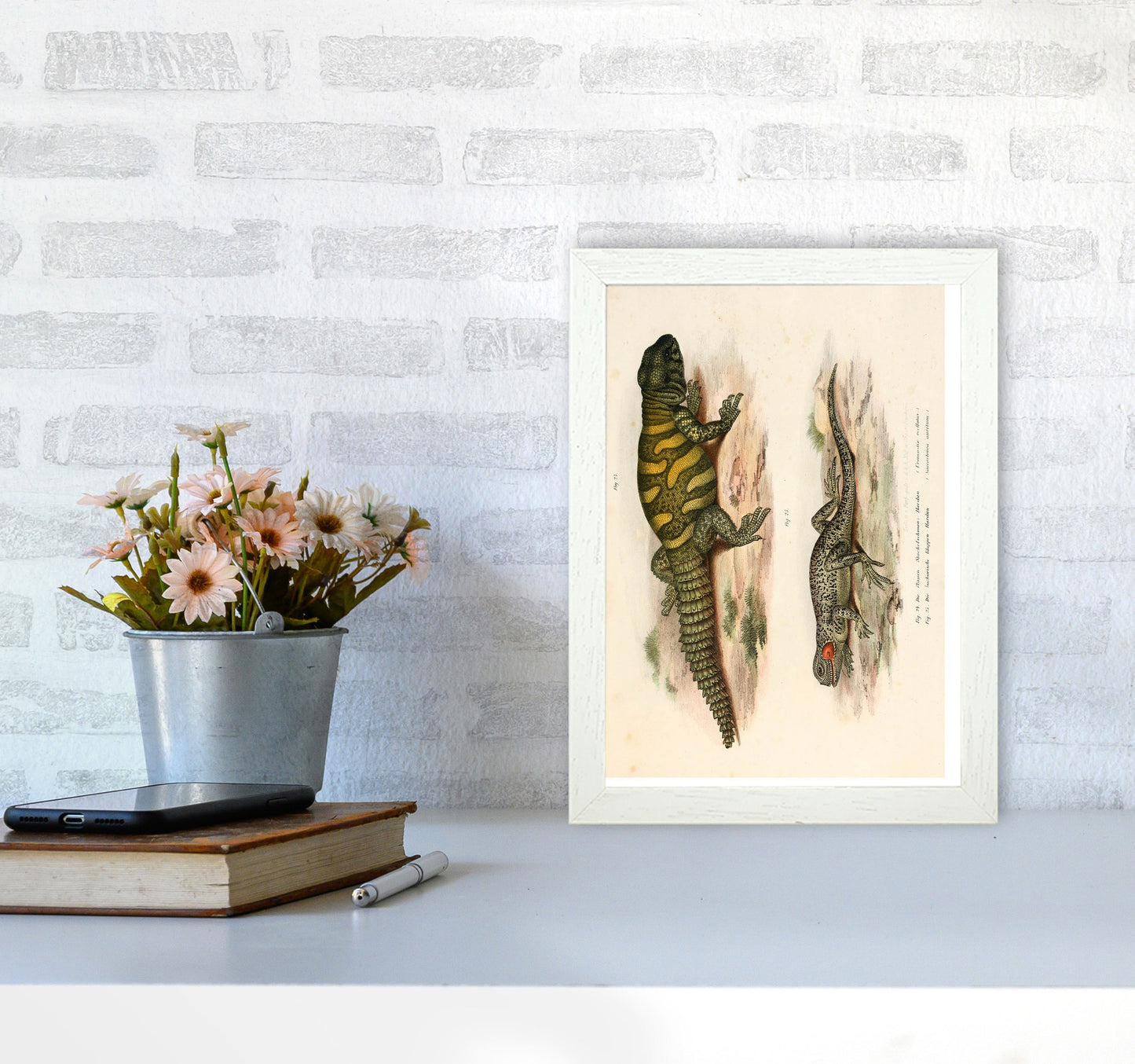 Vintage Lizard Illustration Art Print by Jason Stanley A4 Oak Frame