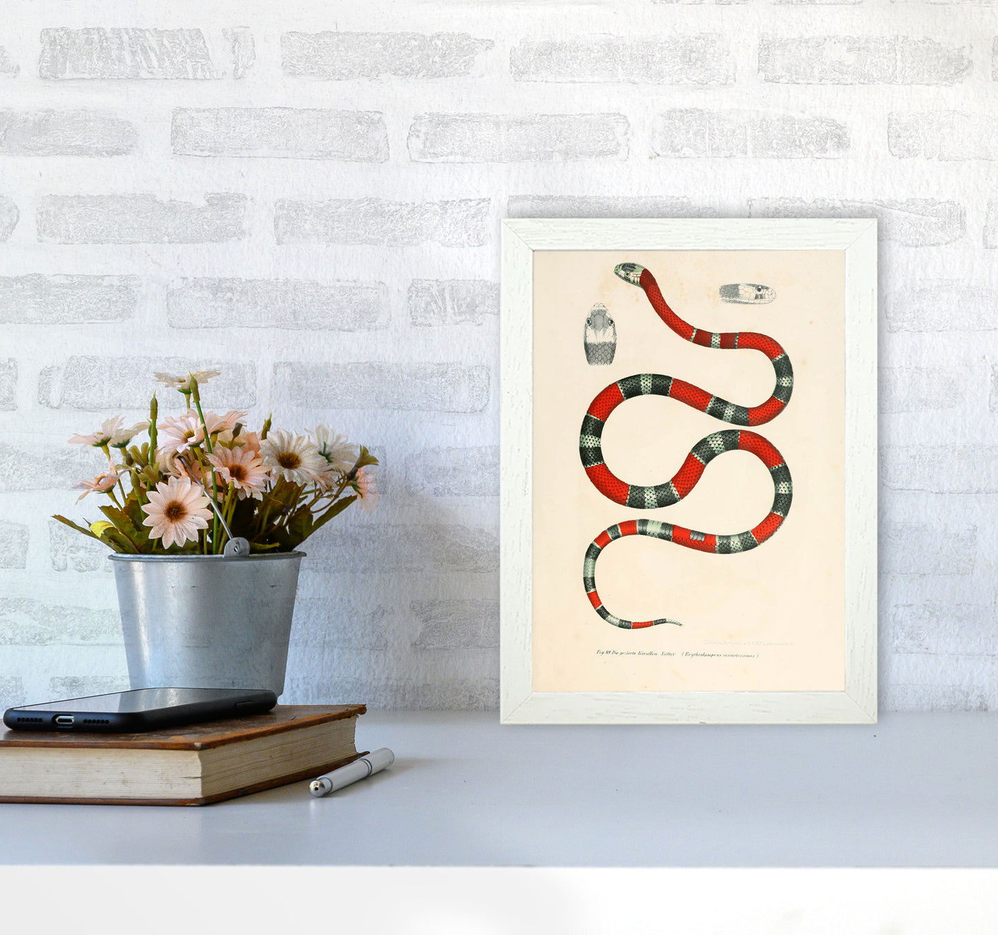 Vintage Snake Illustration 2 Art Print by Jason Stanley A4 Oak Frame