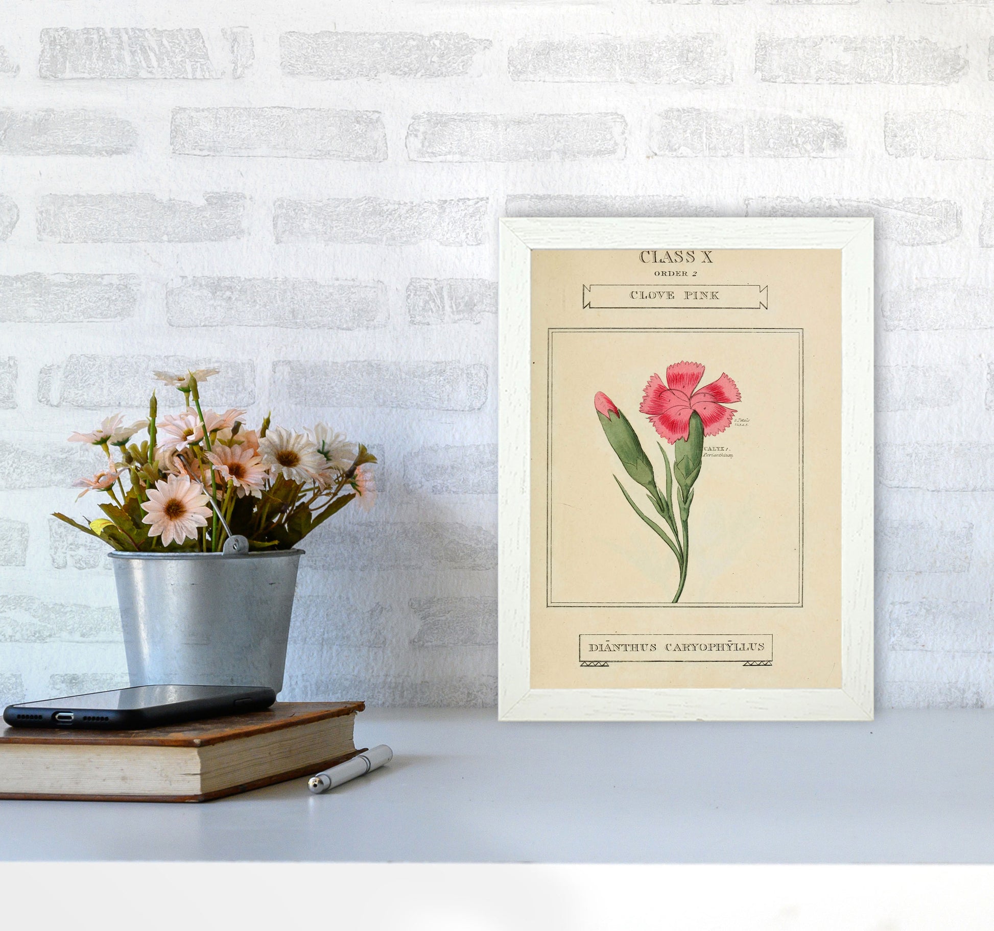 Vintage Flower Series 4 Art Print by Jason Stanley A4 Oak Frame