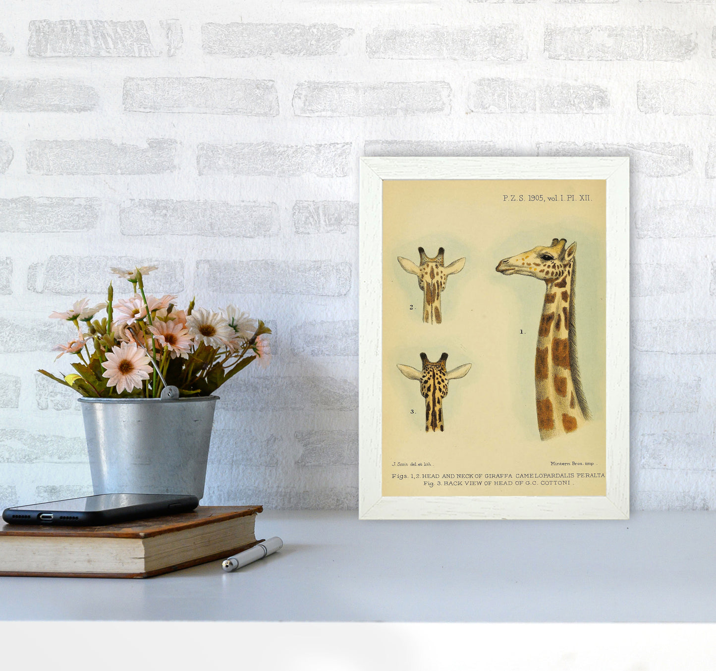 Longest Neck In The Jungle Art Print by Jason Stanley A4 Oak Frame