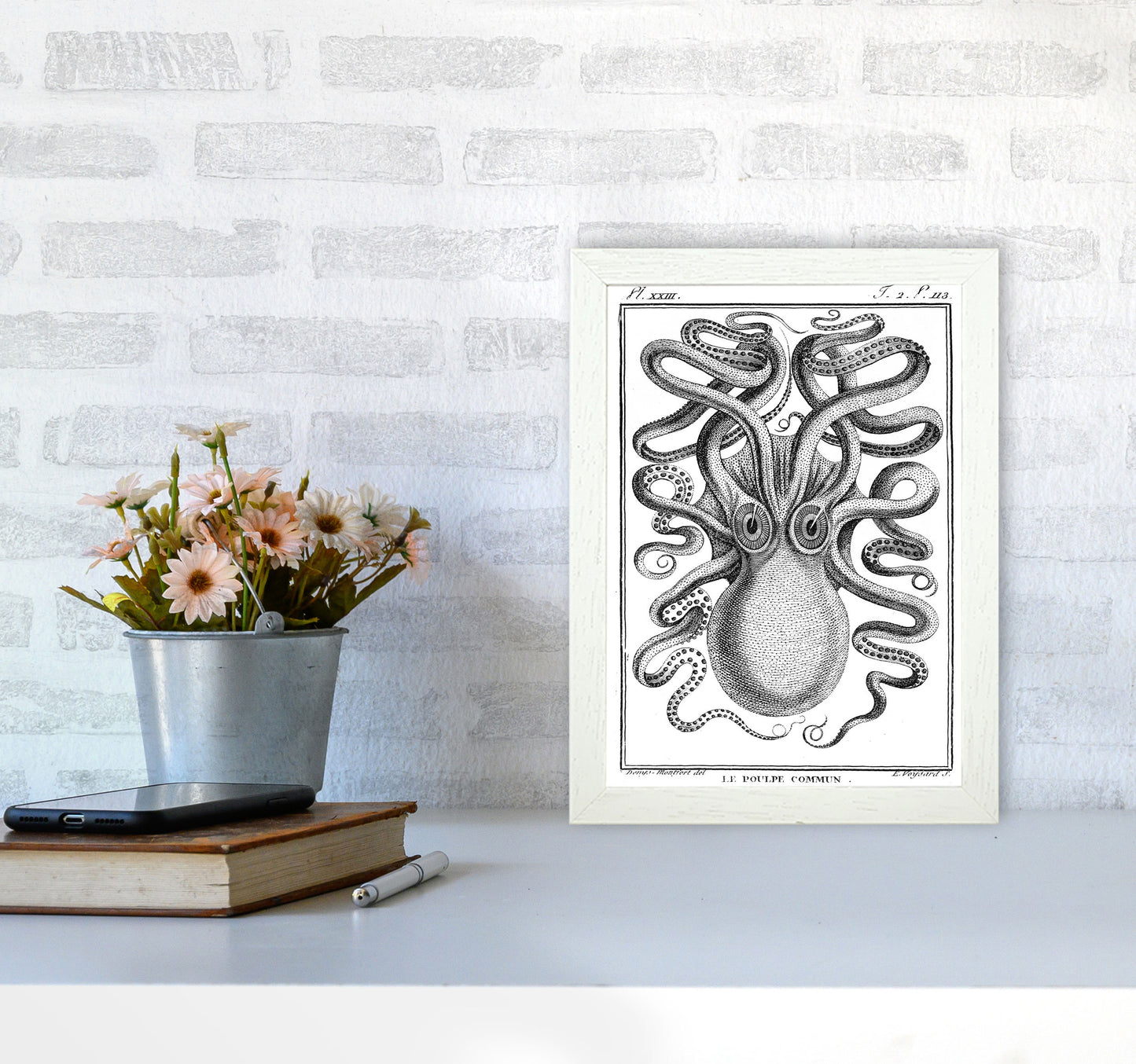 White Vintage Octopus Art Print by Jason Stanley A4 Oak Frame