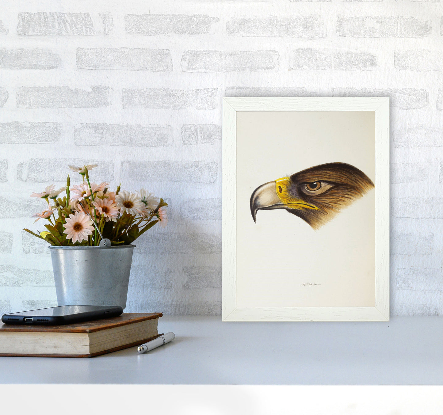 Vintage Eagle Face Art Print by Jason Stanley A4 Oak Frame