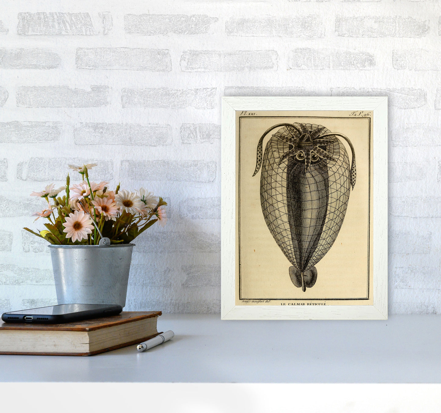 Vintage Squid 4 Art Print by Jason Stanley A4 Oak Frame