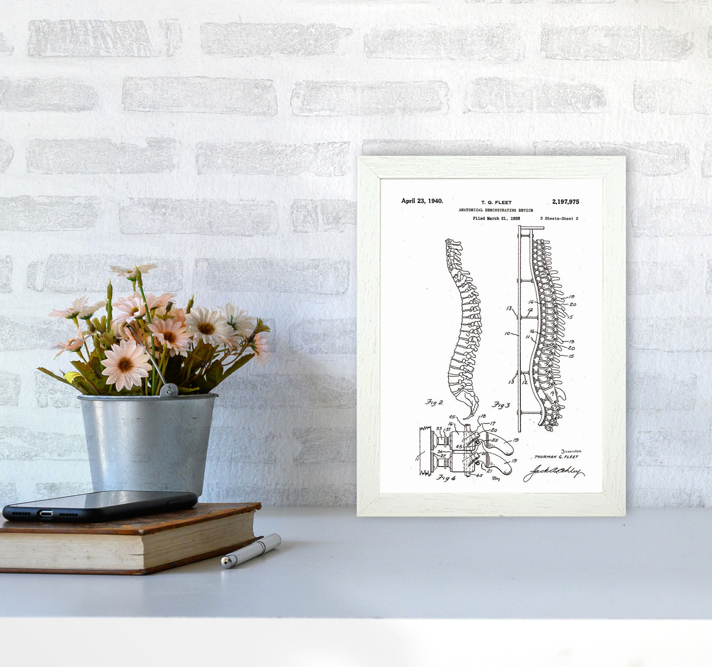Anatomical Spine Display Patent Art Print by Jason Stanley A4 Oak Frame