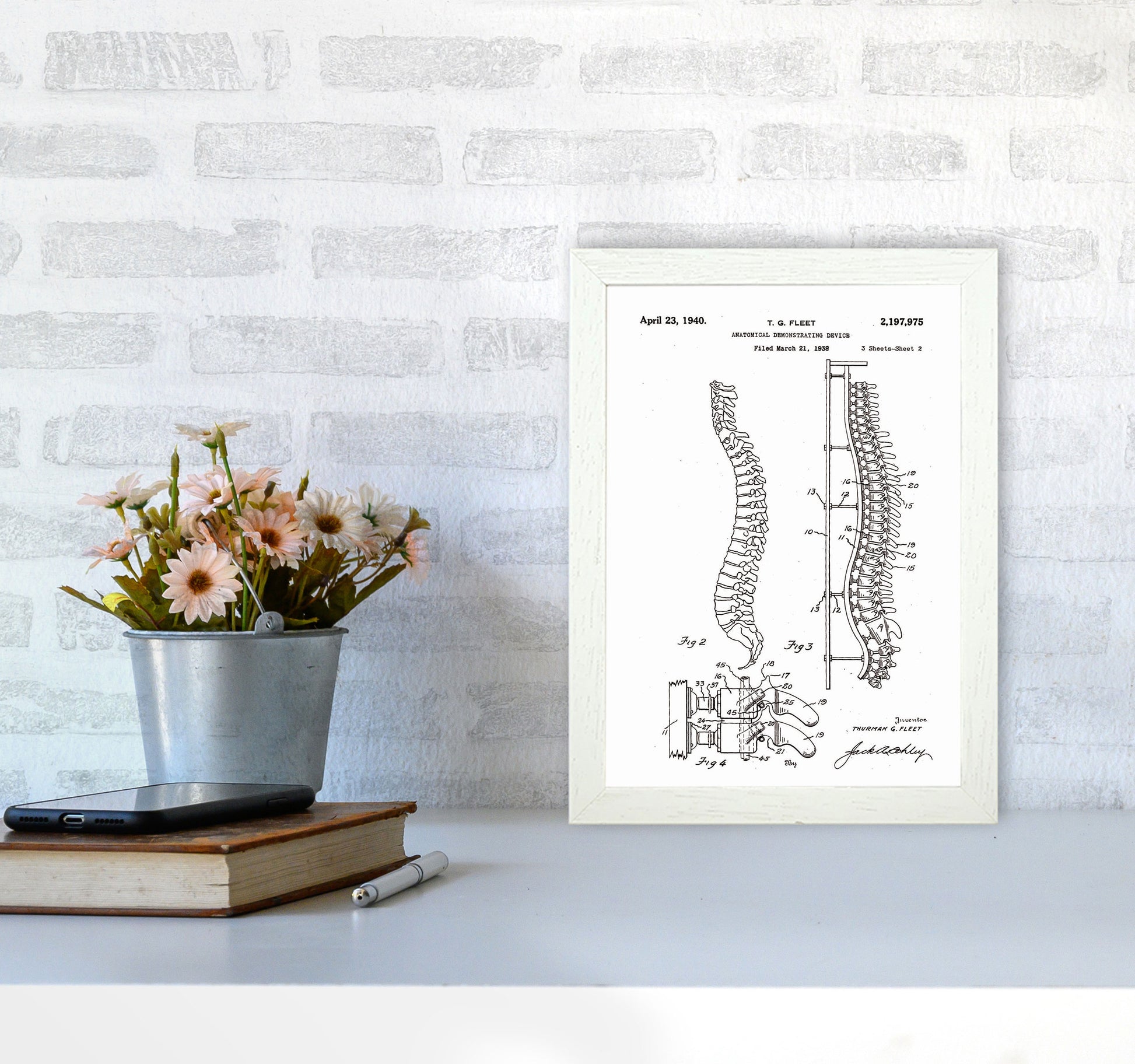 Anatomical Spine Display Patent Art Print by Jason Stanley A4 Oak Frame