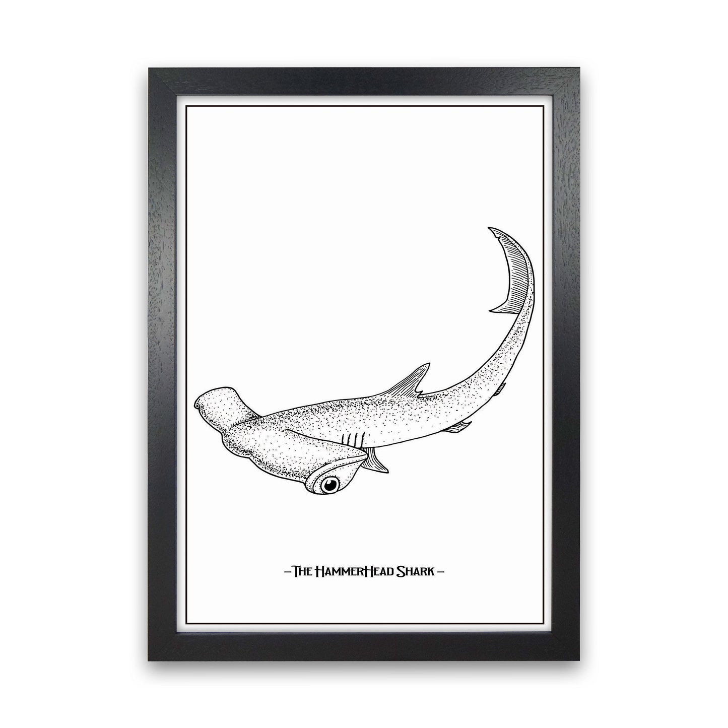 The Hammerhead Shark Art Print by Jason Stanley Black Grain