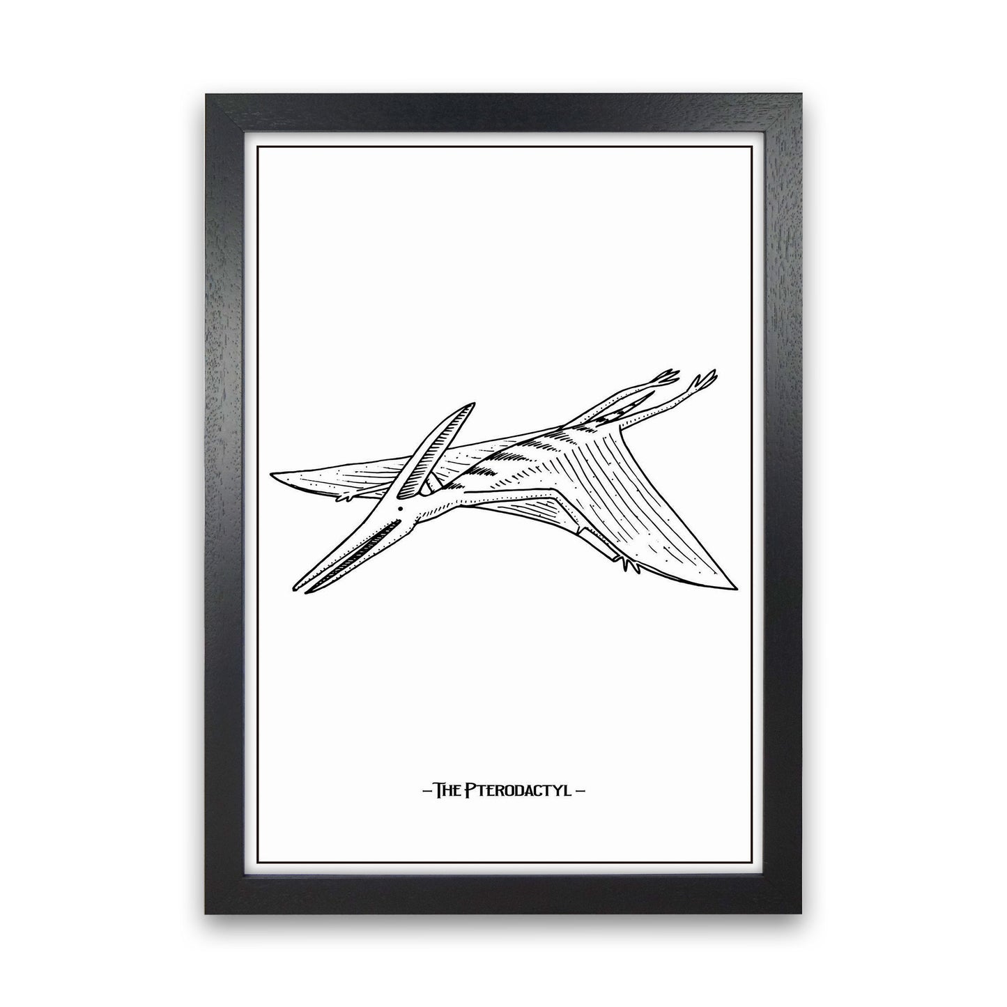 The Pterodactyl Art Print by Jason Stanley Black Grain