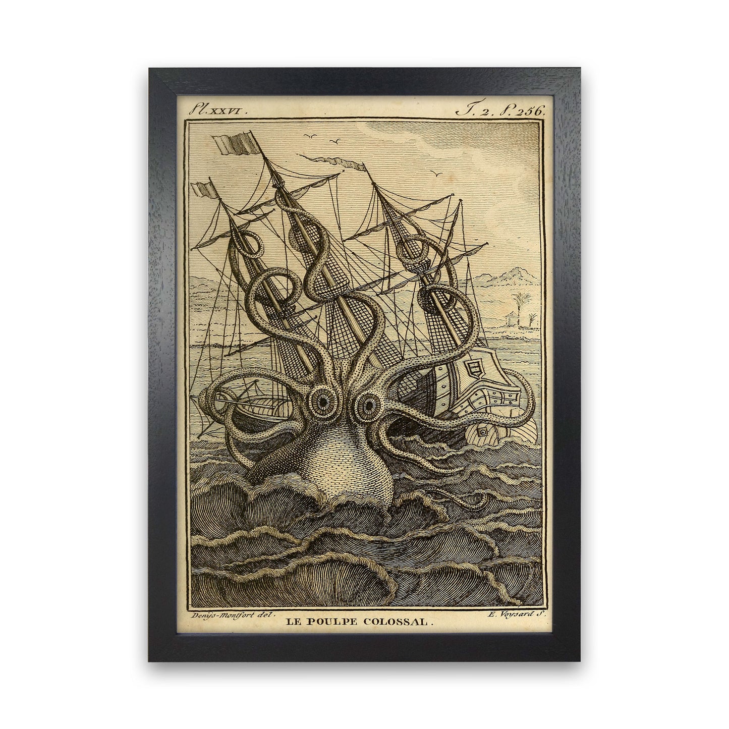 The Great Collossal Octopus Art Print by Jason Stanley Black Grain