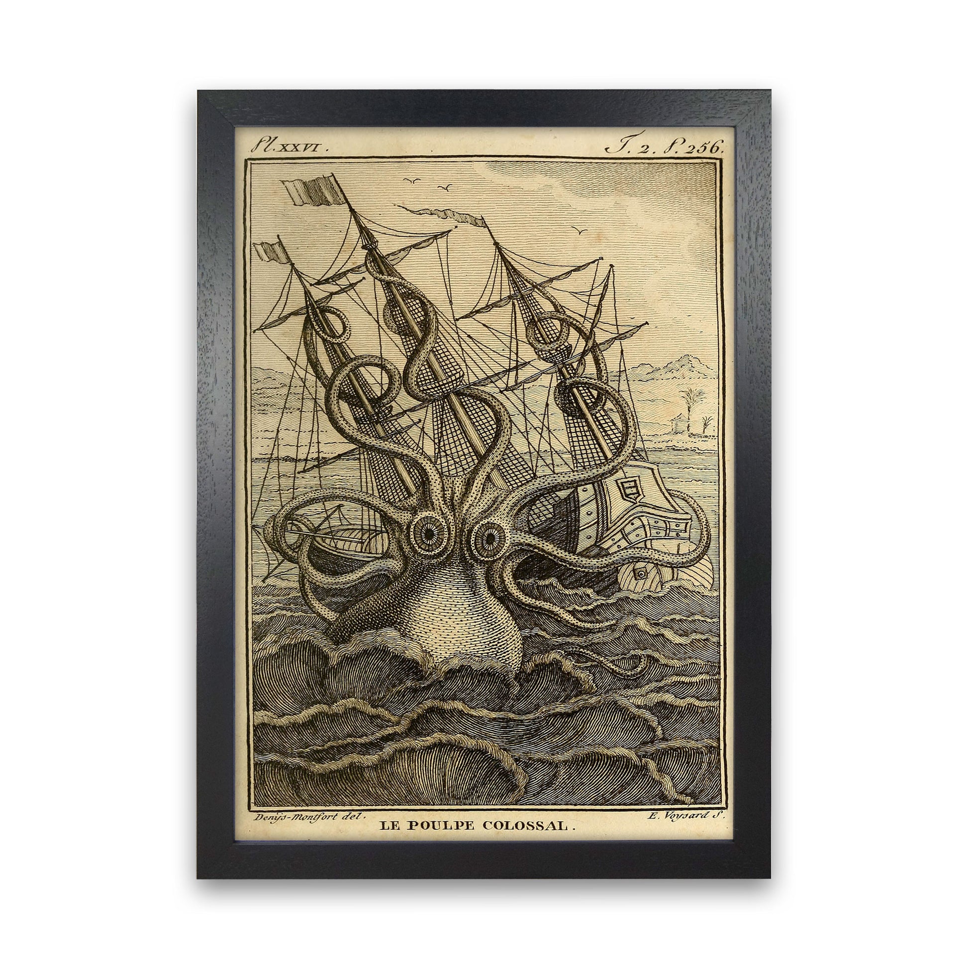 The Great Collossal Octopus Art Print by Jason Stanley Black Grain