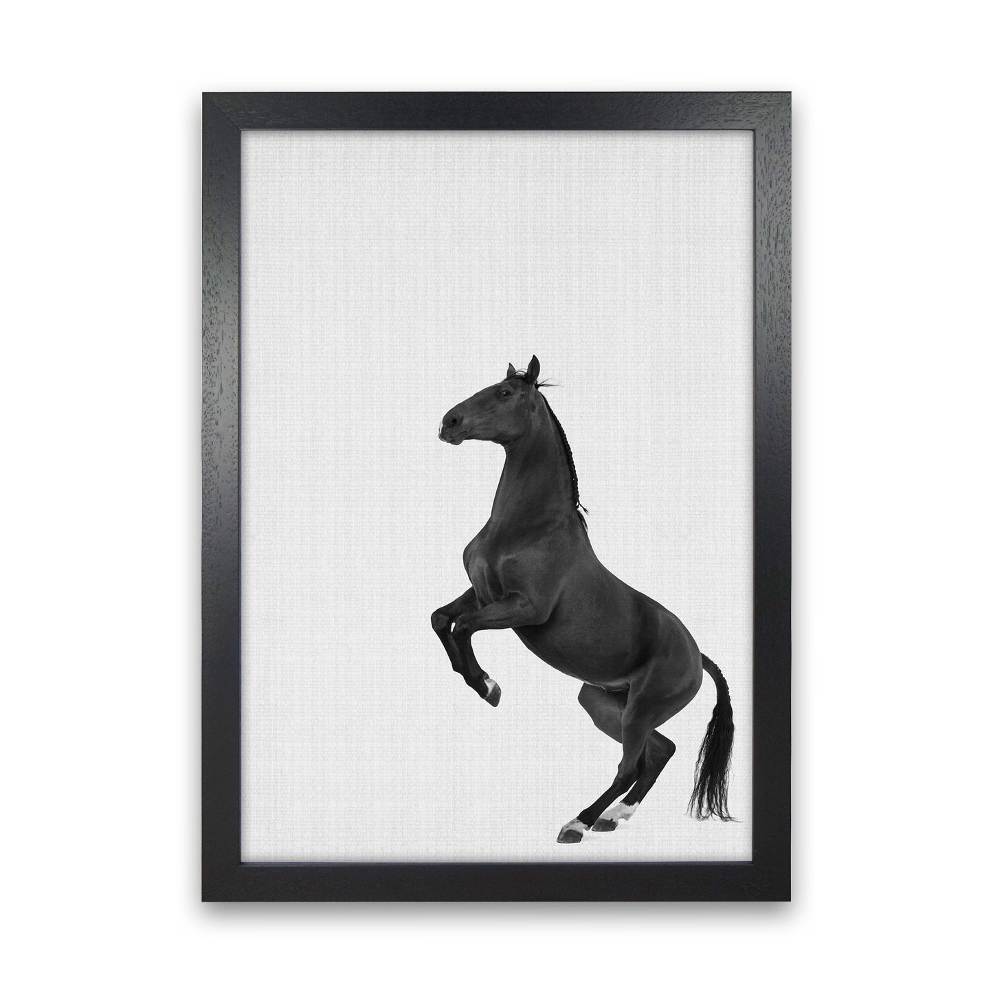 The Dark Horse Rides At Night #2 Art Print by Jason Stanley Black Grain